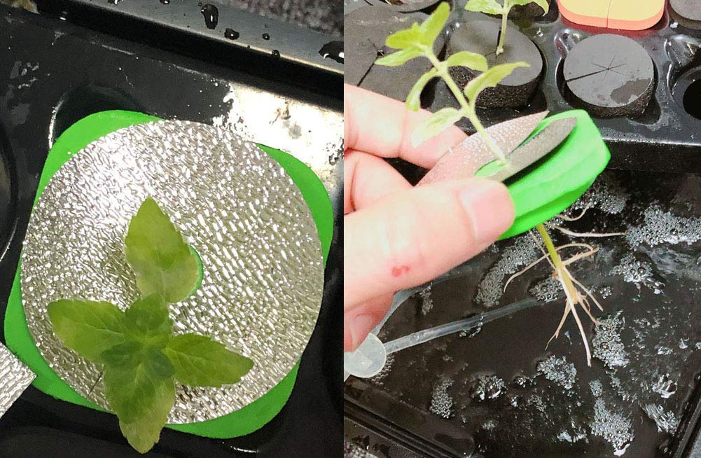 24-Site Deep Water Culture (DWC) Hydroponic Propagator Kit with 25 Sets of 2-Inch Net Pots & Inserts - Perfect for Indoor Herb Gardens, Seed Starting, and Hydroponic Plant Growth
