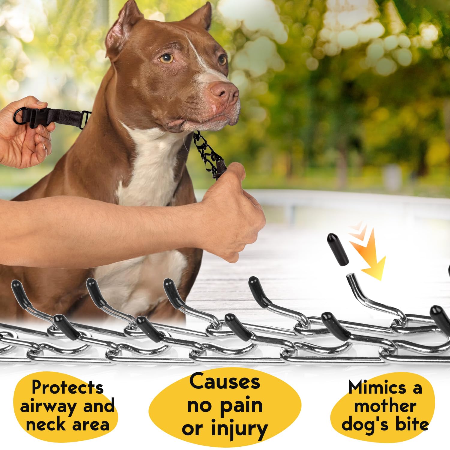 PetJett Prong Collar for Dogs - No Pull Training Collar, Adjustable Pinch Collar for Small, Medium & Large Breeds - Stainless Steel Choke Chain for Obedience & Walking - Perfect for Aggressive Pullers & Leash Training