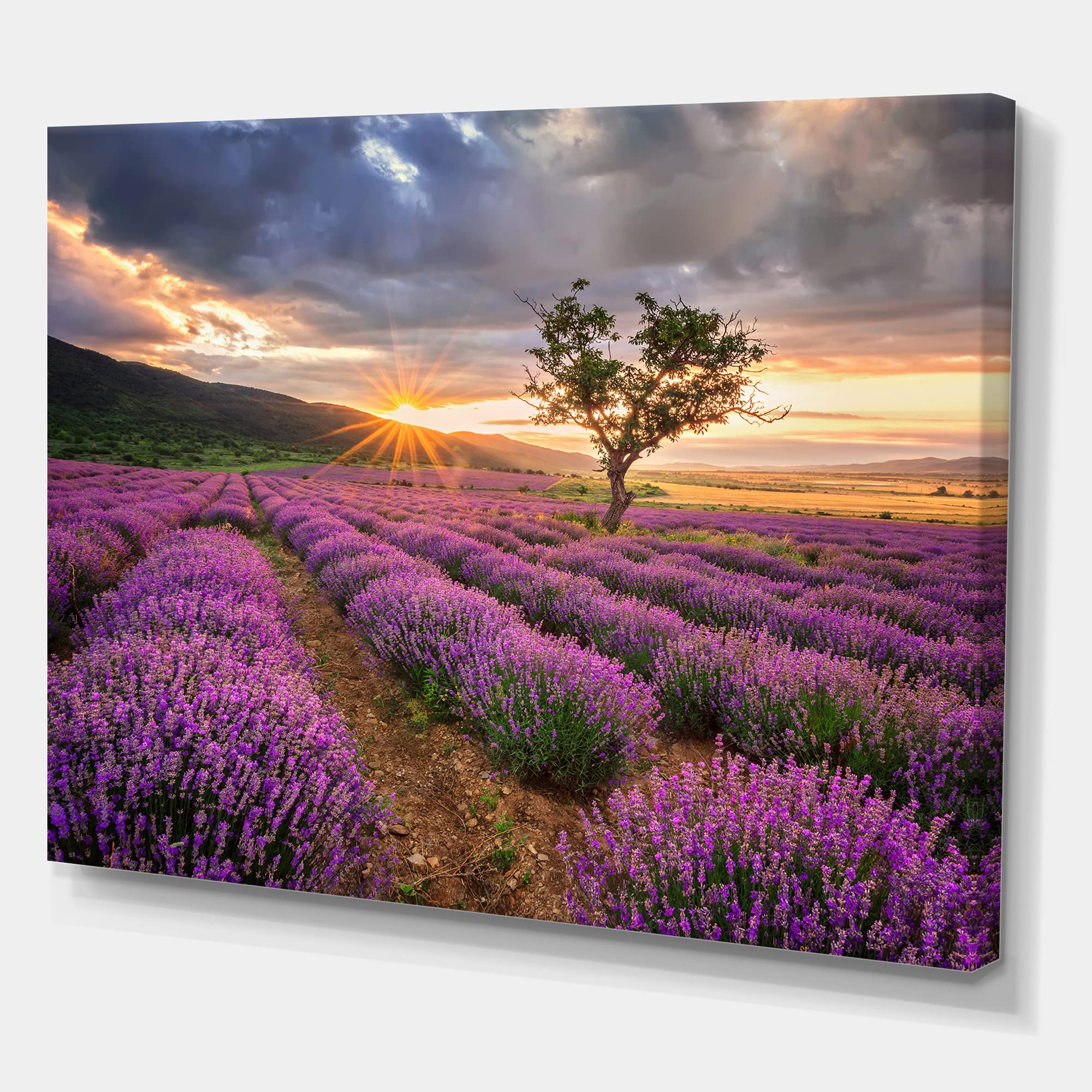 DesignQ Sunrise & Dramatic Clouds Over Lavender Field VIII - Farmhouse Style Canvas Wall Art Print for Living Room, Bedroom & Office Decor