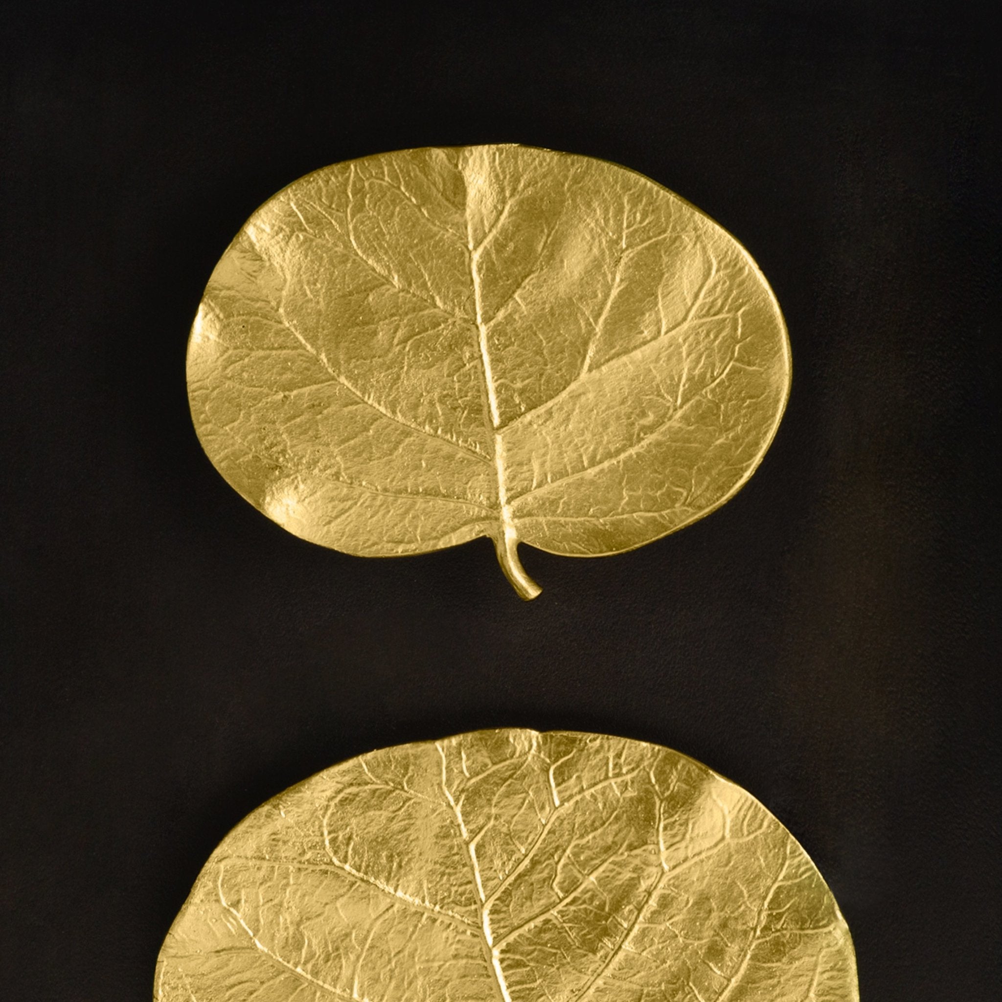 Botanical Leaf Shadow Box Wall Art - Handmade Pressed Flower Frame for Home Decor, Wedding, Nursery & Office - Unique Nature-Inspired Gift Idea