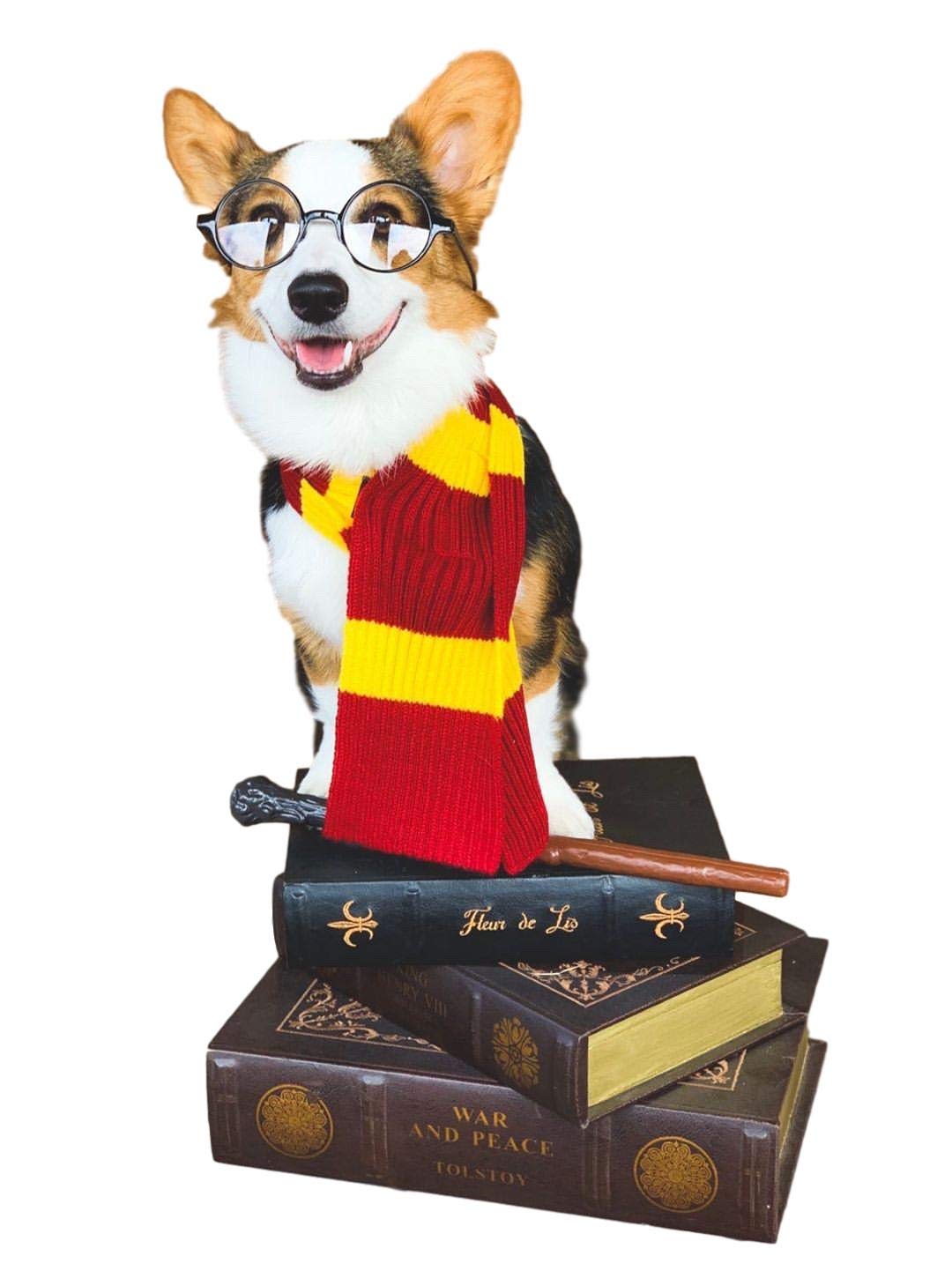 ComfyCamper Red & Yellow Striped Scarf Dog Costume for French Lab - X-Large, Large, Medium, Small Sizes | Halloween Cosplay Pet Outfit | Perfect for Halloween Parties, Pet Parades & Photo Shoots