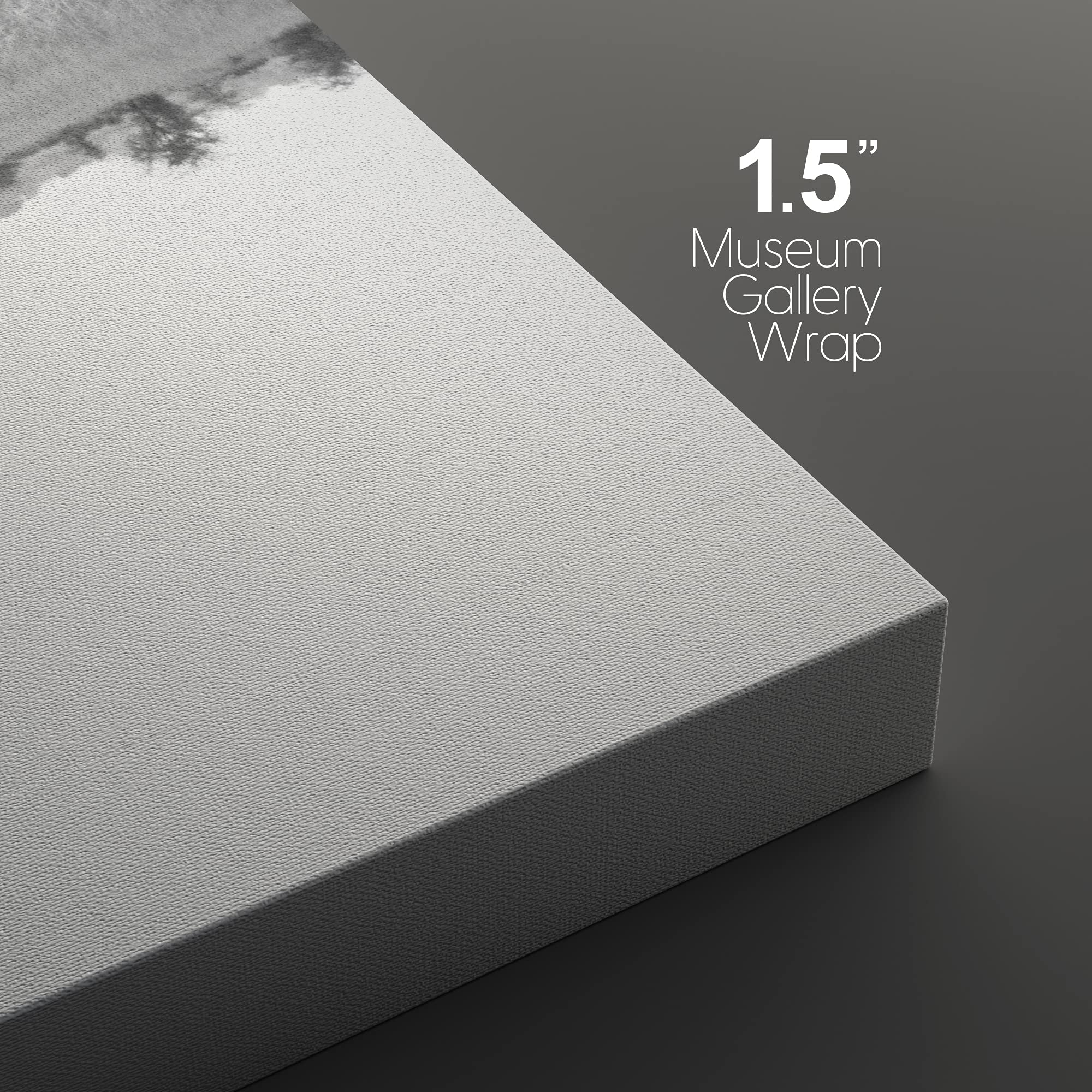 Black and White Elephant Canvas Wall Art - 3 Panels 24