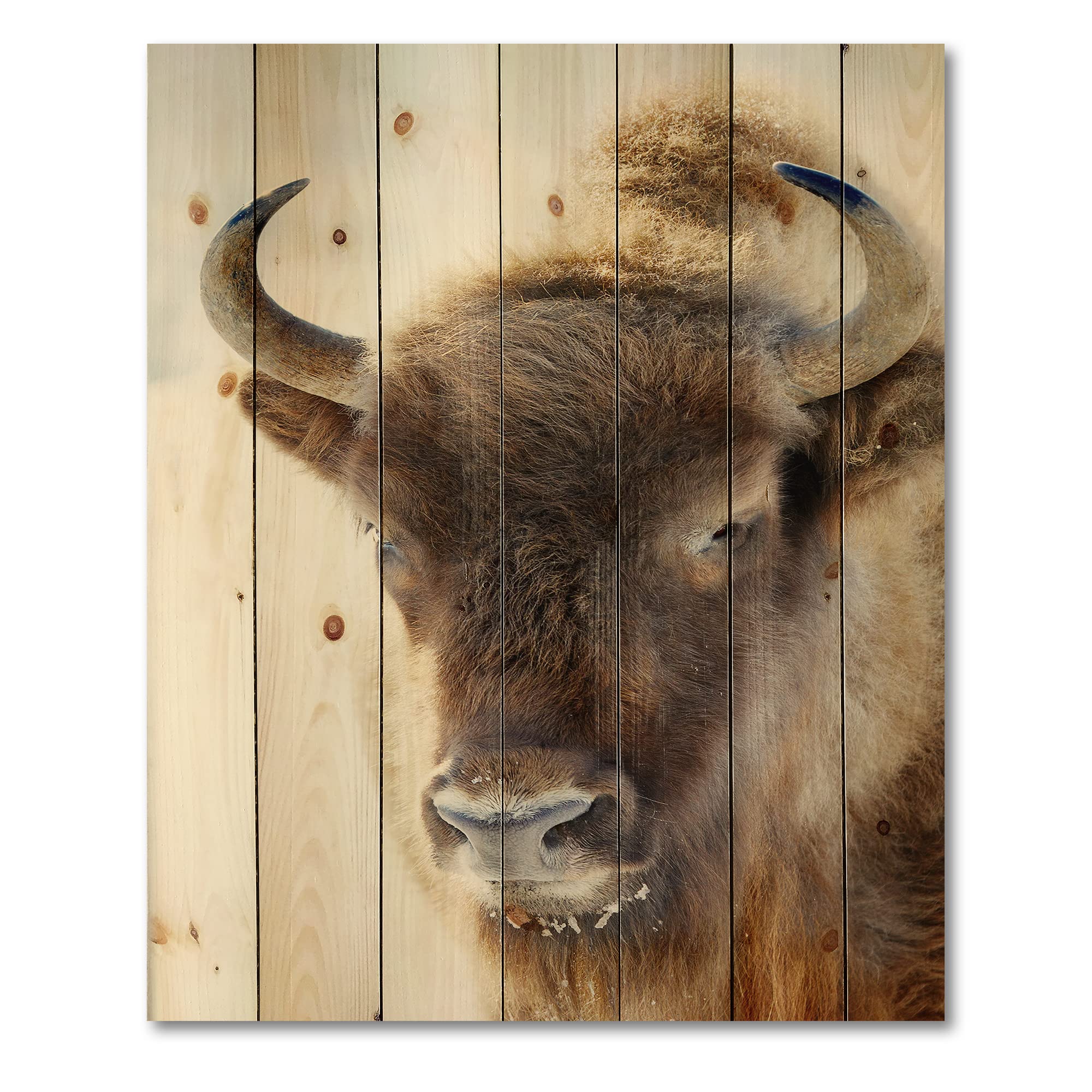 Farmhouse Wood Wall Decor - Wild Bison Portrait on Natural Pine Wood, Large Animal Wall Art Panel for Rustic Home & Cabin Decor | Perfect for Living Room, Bedroom, or Office