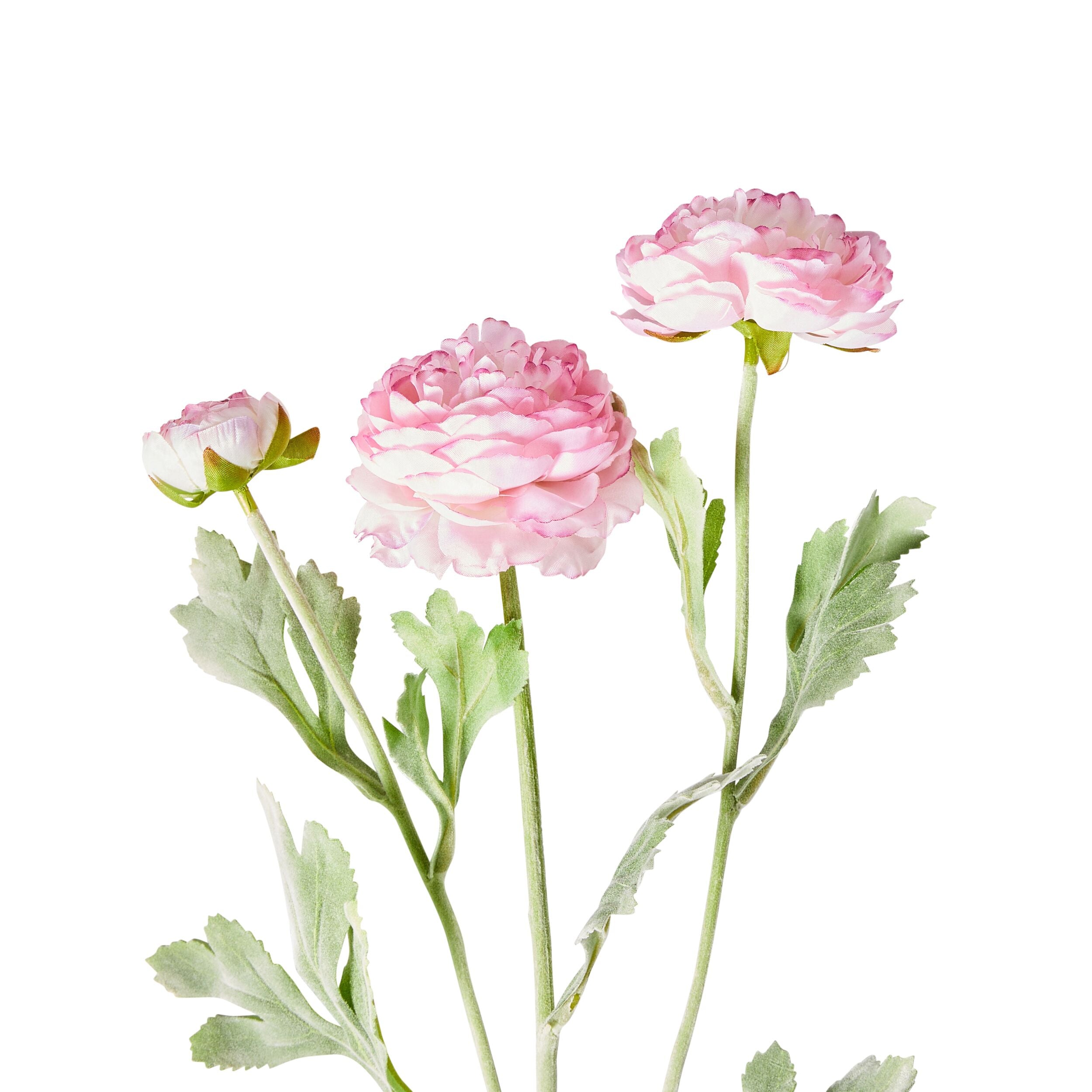 Acacia Ranunculus Pink Artificial Flowers - Set of 3 Stems 52cm Tall - Perfect for Wedding Centerpieces, Home Decor, and Floral Arrangements