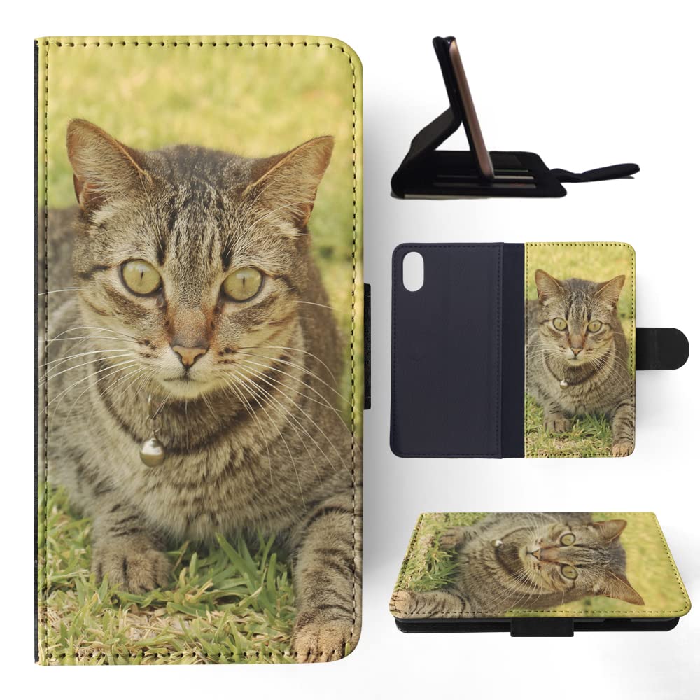 Cute Grey Cat Kitten Feline #2 Flip Wallet Phone Case Cover for Apple iPhone X & iPhone Xs - Perfect for Pet Lovers & Everyday Use