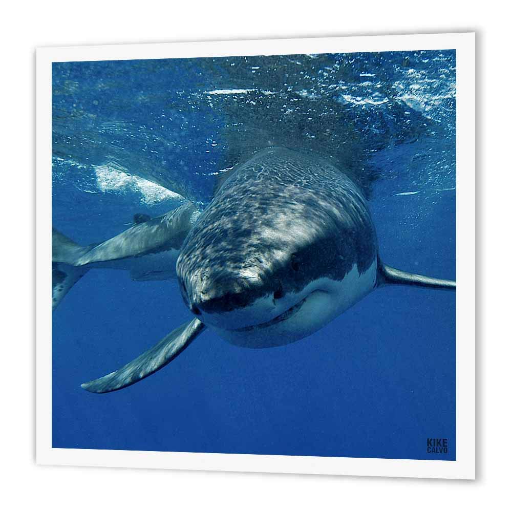 3D Rose Great White Shark Iron-On Heat Transfer - 10