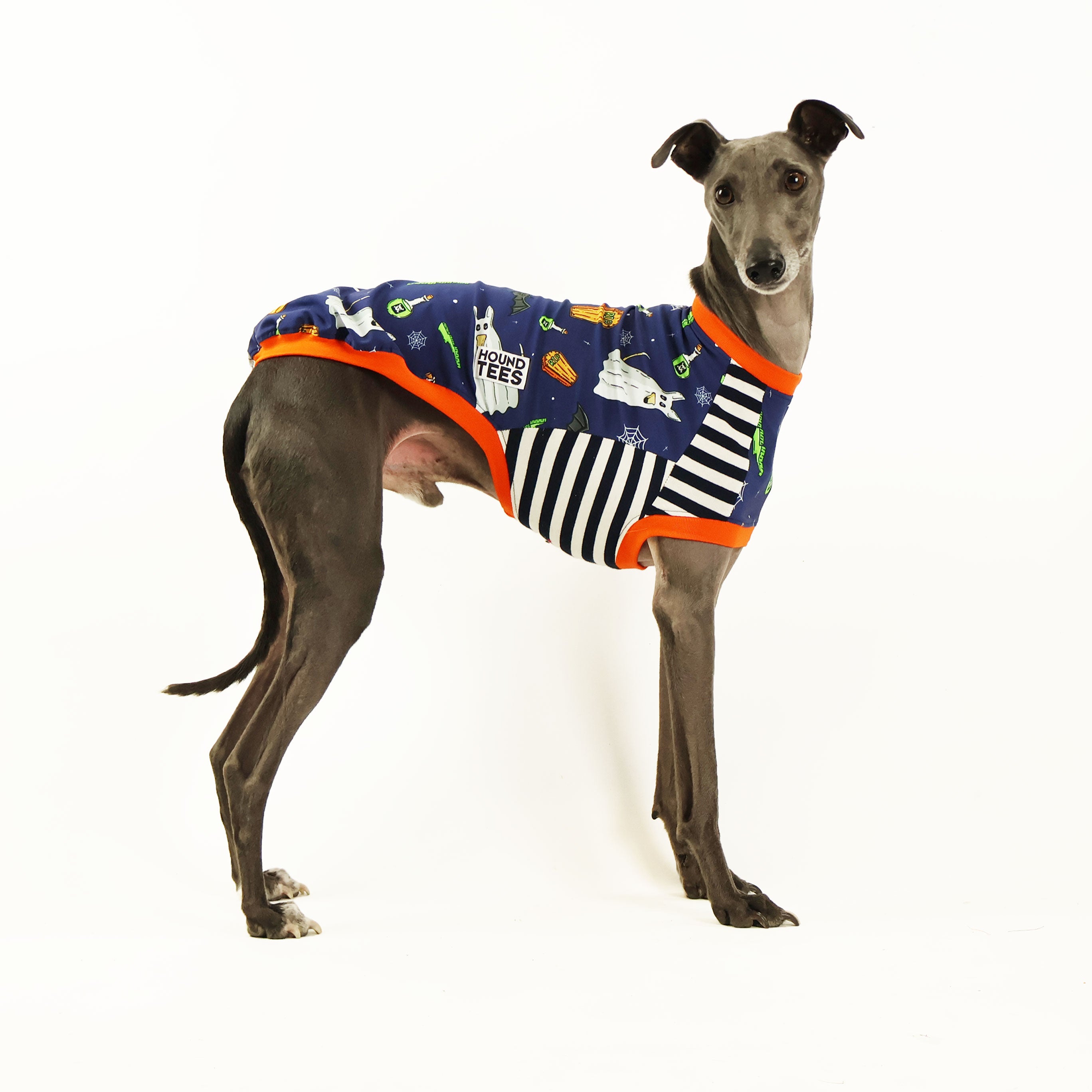 Ghost Hound Whippet Sleeveless Hound Tee - Trendy Dog Lover Apparel for Summer, Gym & Casual Wear - Perfect for Dog Walking, Outdoor Activities & Pet Owner Fashion