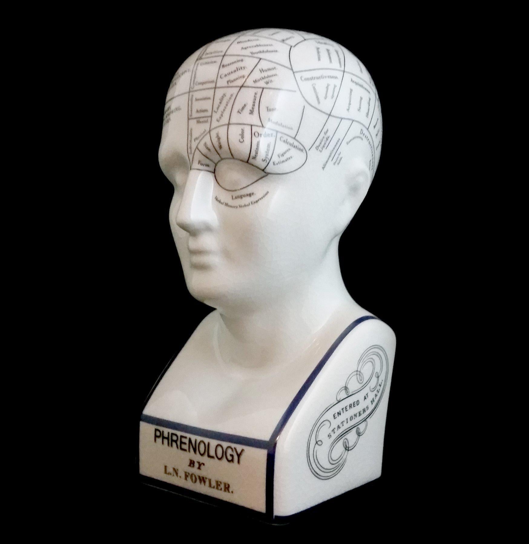Vintage Phrenology Head Model - Anatomical Brain Study Replica for Psychology & Medical Education - Perfect for Classroom, Office Decor, and Collectors
