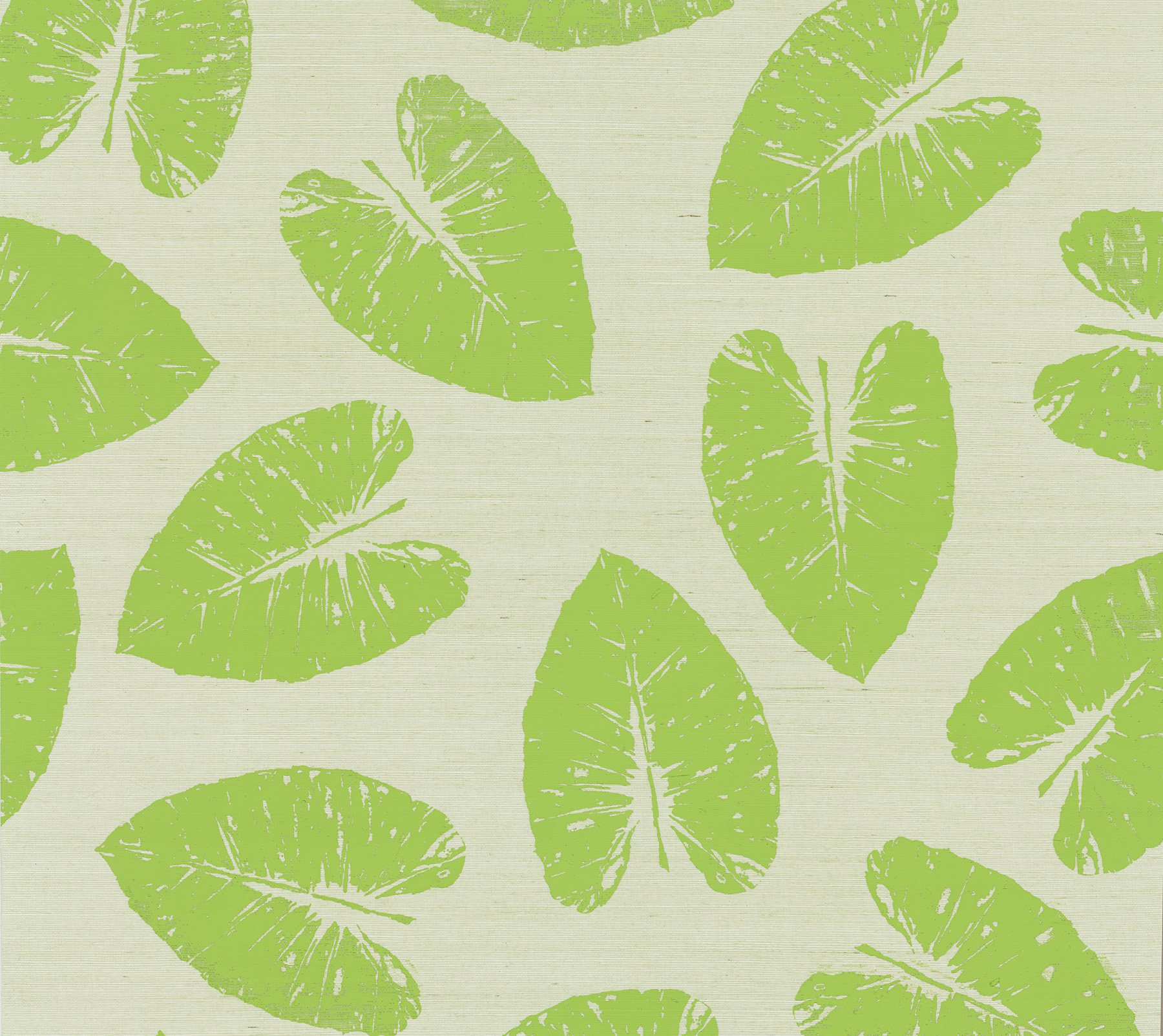 Brewster Home Fashions Kenneth James 566-44512 Echo Design Lolani Light Green Banana Leaf Wallpaper - Peel and Stick Removable Wallpaper for Bedroom, Living Room, Nursery Decor
