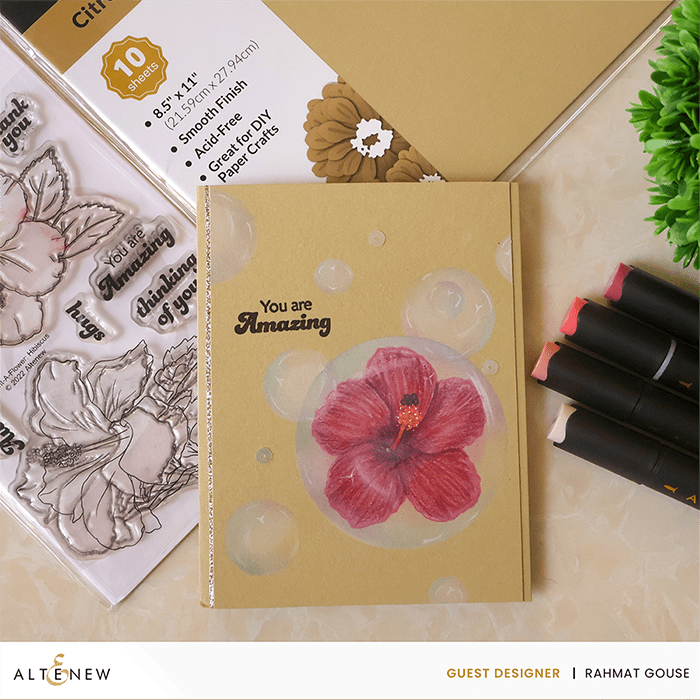 Whimsical Garden Multi-Color Cardstock Pack - 10 Sheets for Scrapbooking, DIY Crafts & Card Making - Premium Quality Paper for Creative Projects