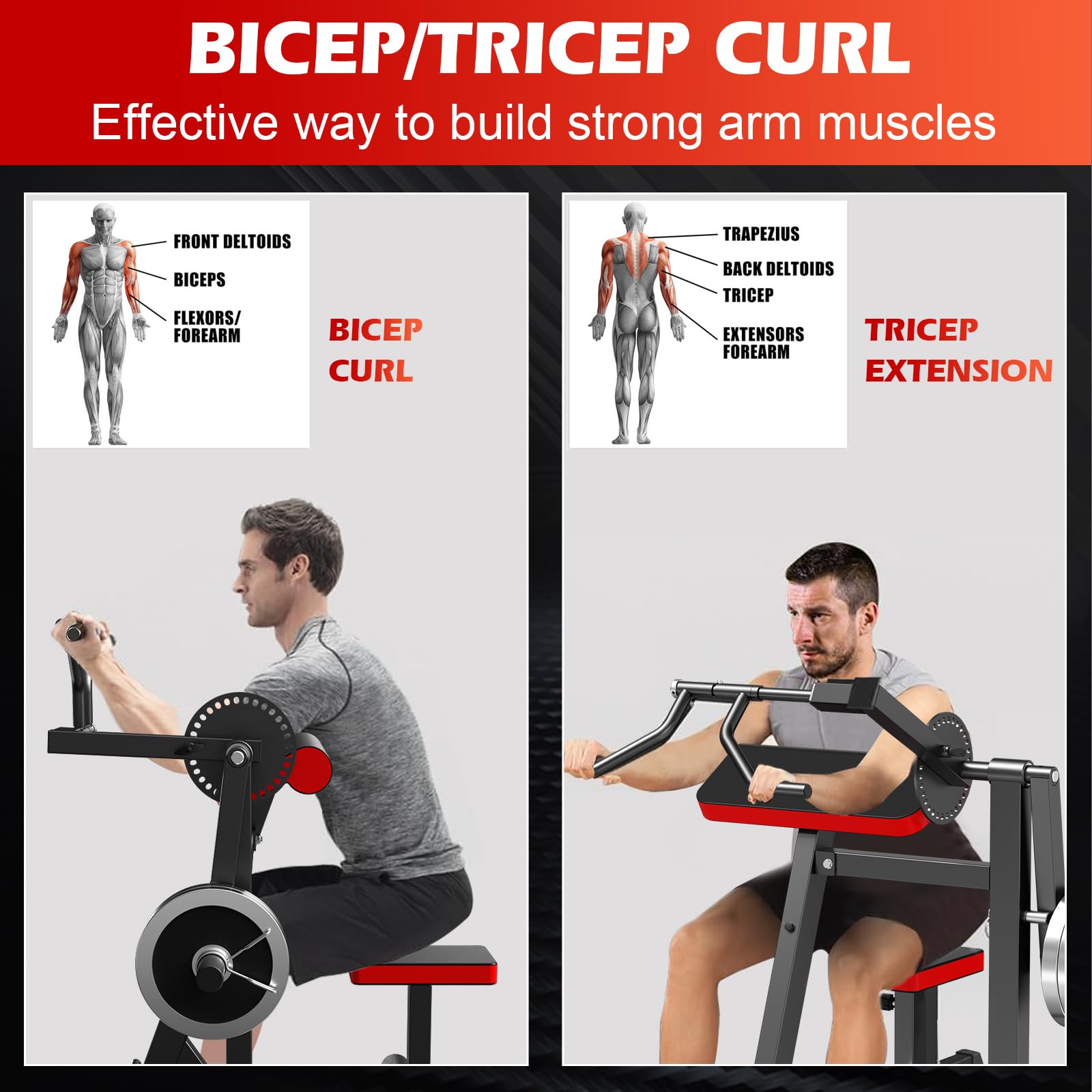 2-in-1 Bicep & Tricep Curl Machine with Adjustable Seat - Plate Loaded Preacher Curl Bench for Arm Isolation - Home Gym Strength Training Equipment for Biceps & Triceps Workouts - Perfect for Small Spaces & Full-Body Fitness Routines