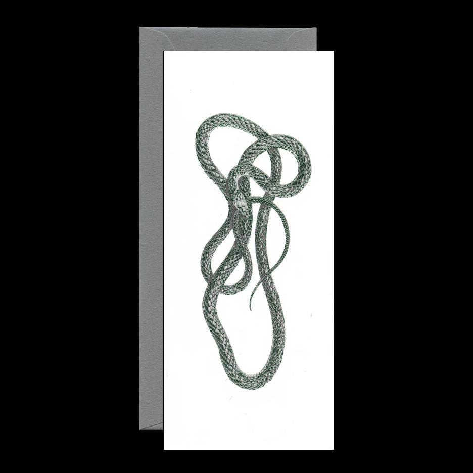Green Mamba Greeting Card - Elegant Snake Design for Birthday, Anniversary & Special Occasions - Perfect for Reptile Lovers & Nature Enthusiasts