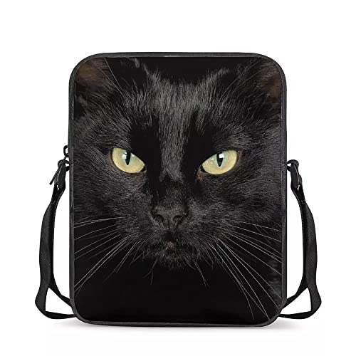 Black Cat