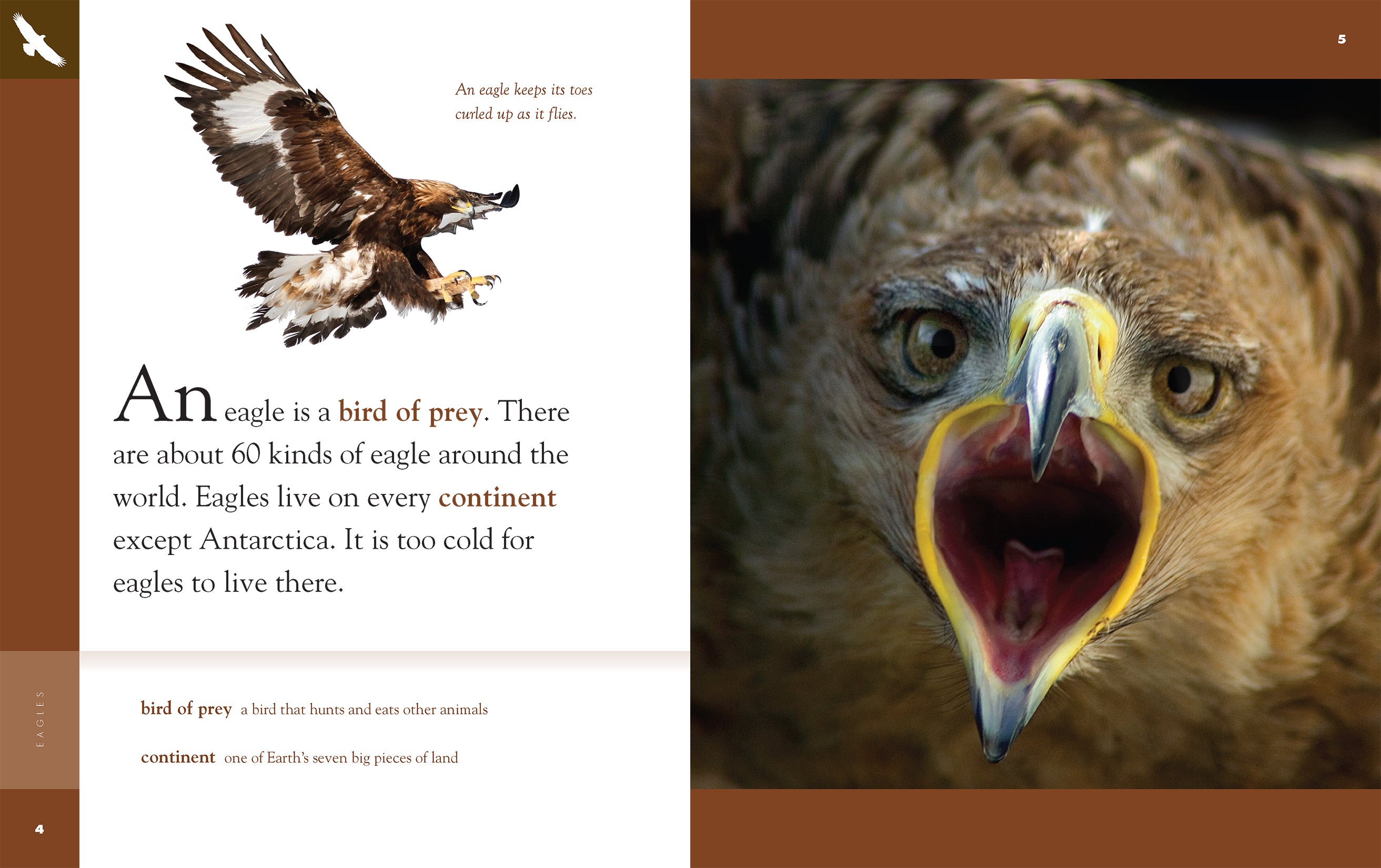 Eagles Book 9781640263796 - Wildlife Nature Guide for Bird Watching & Outdoor Adventures