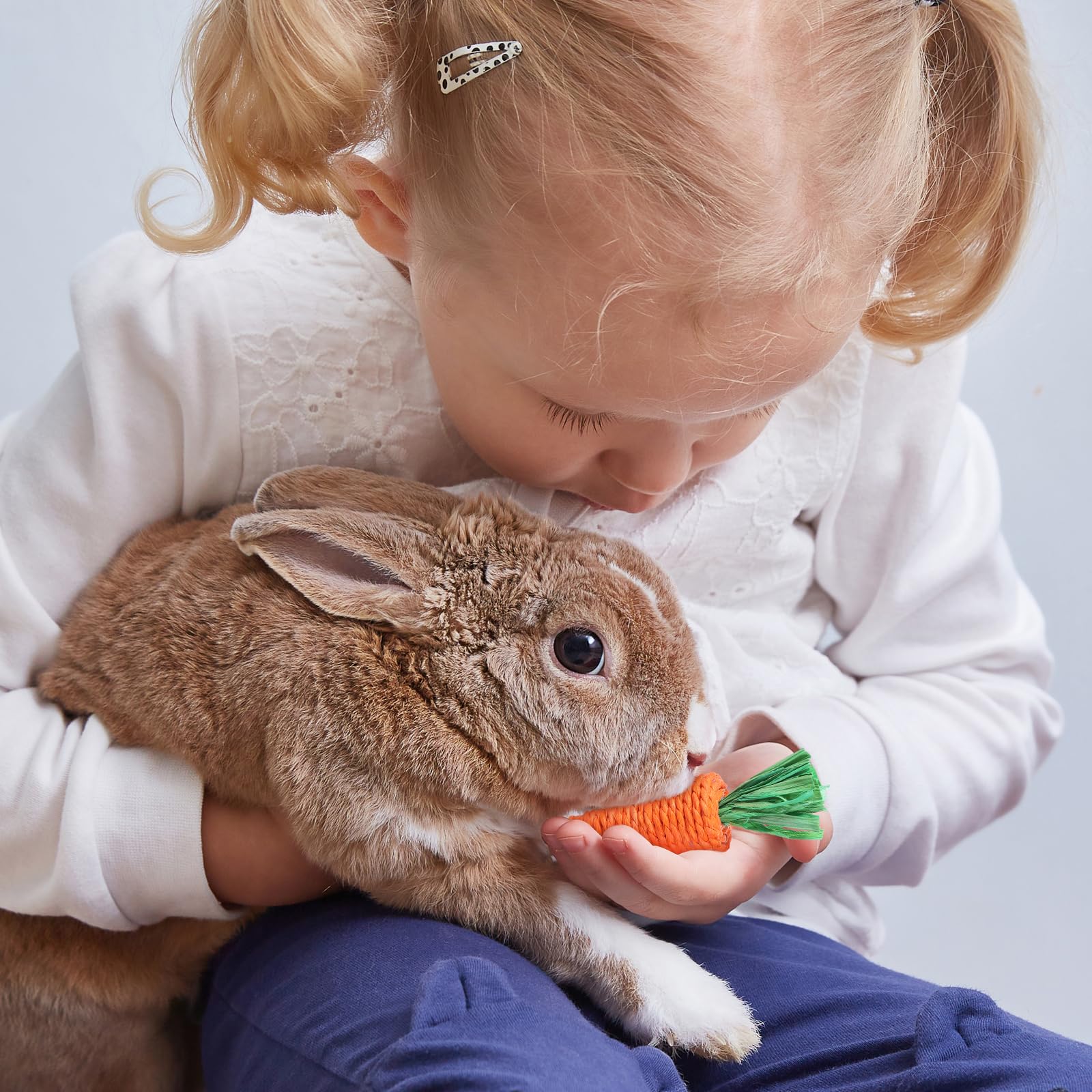 Didiseaon 6pcs Bunny Teething Toys - Carrot Rabbit Chew Toys for Small Animals, Guinea Pig, Hamster, Rat, Gerbils & Chinchilla - Safe Molar Gnawing Treats with Straw Grass for Dental Health and Stress Relief