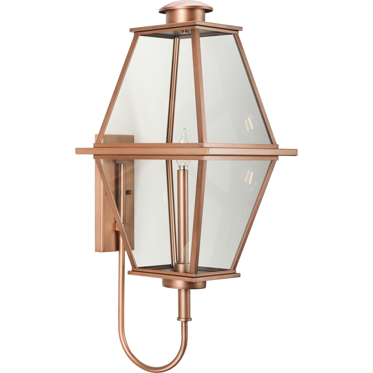 Bradshaw Collection Large Clear Glass Outdoor Wall Lantern - Elegant One Light Fixture for Porch, Patio, Garden & Exterior Home Decor