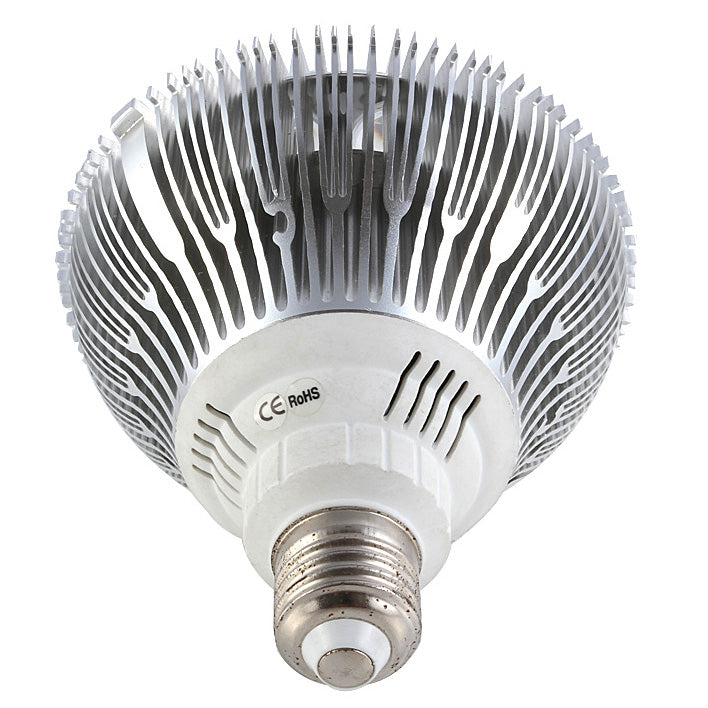 12W (12x1W) PAR38 LED Bulb with E26/E27 Base - 90W Halogen Equivalent - 100-240V AC - Silver Housing - Indoor Use for Recessed Lighting, Track Lights, and Display Cases