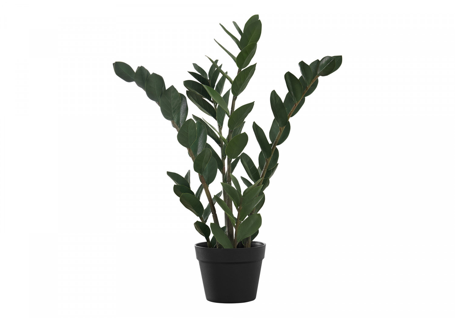 29 Inch ZZ Plant in 6 Inch Black Pot - Low Light Indoor Houseplant for Home, Office & Apartment Decor