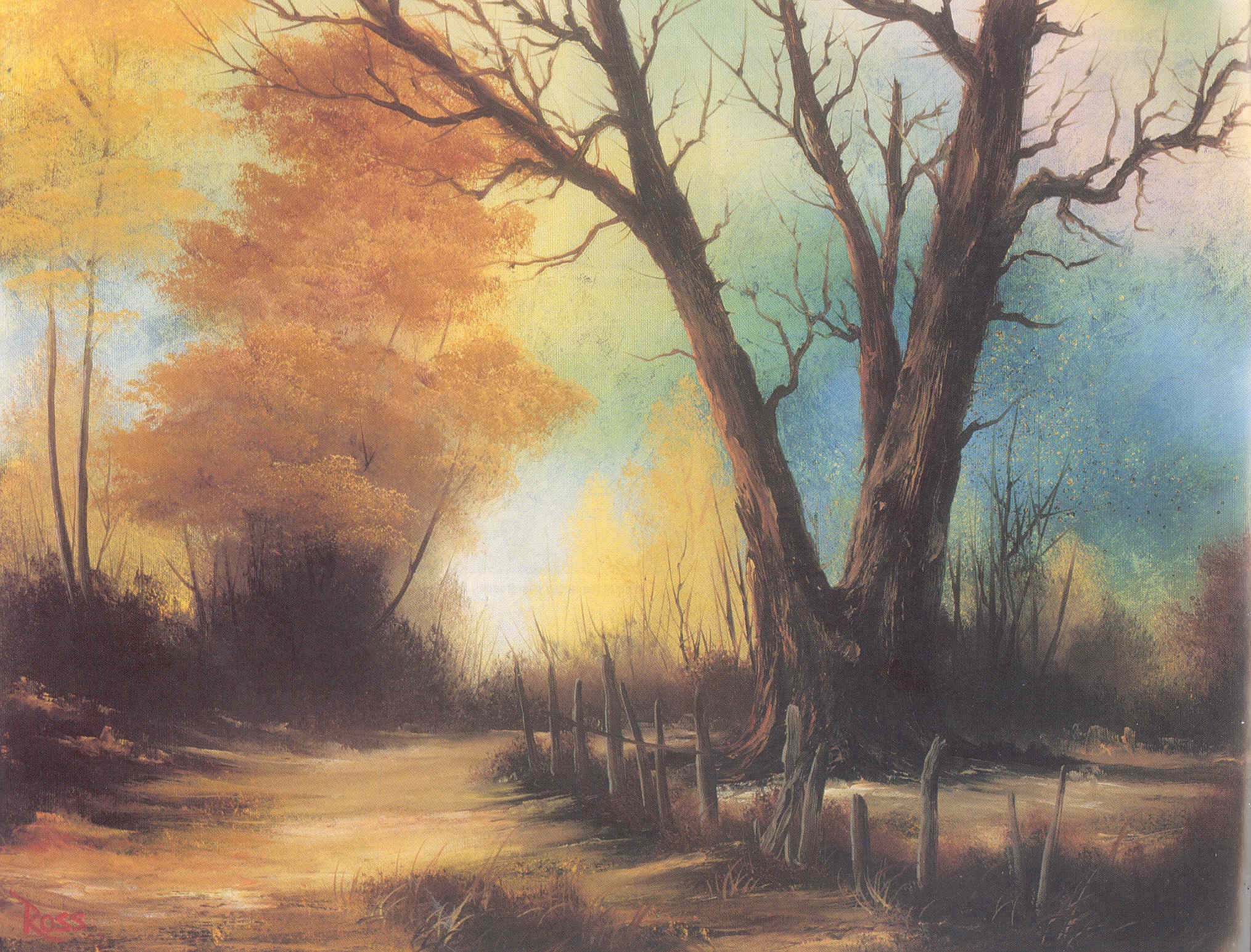 Bob Ross The Joy of Painting Book - 25th Anniversary Edition | Step-by-Step Oil Painting Techniques for Beginners | Perfect for Art Classes, Home Decor & Gift Giving