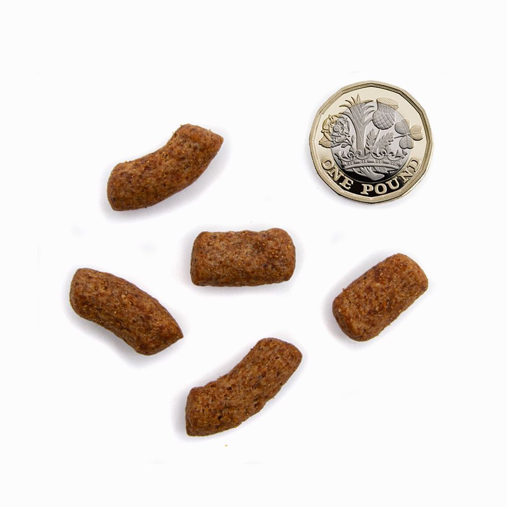 Premium Free Range Chicken & Salmon Dry Dog Food for Medium & Large Breeds - High Protein Grain-Free Recipe for Active Dogs, Joint Health & Shiny Coat