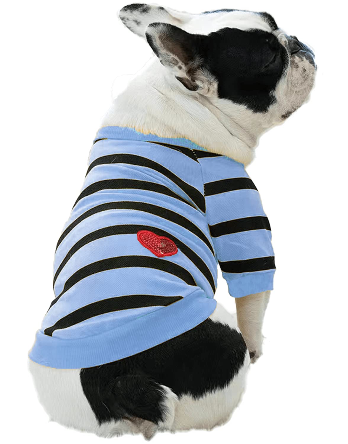 Striped Bulldog Sweater - Medium Dog Clothes for Small & Large Dogs - Blue for Outdoor Walks