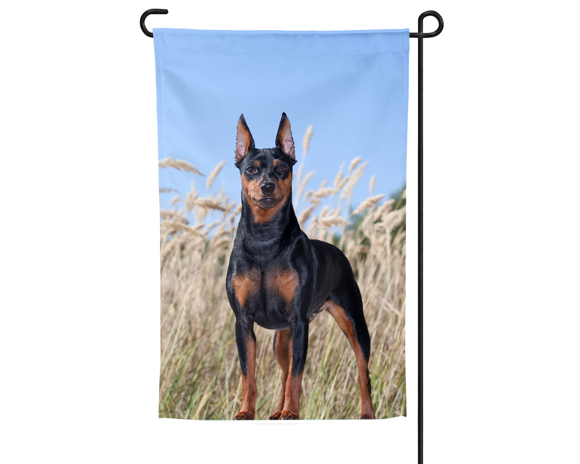 Miniature Pinscher Garden Flag - Double-Sided Outdoor Decorative Flag for Dog Lovers | Perfect for Yard, Patio, Garden Decor & Min Pin Enthusiast Gifts