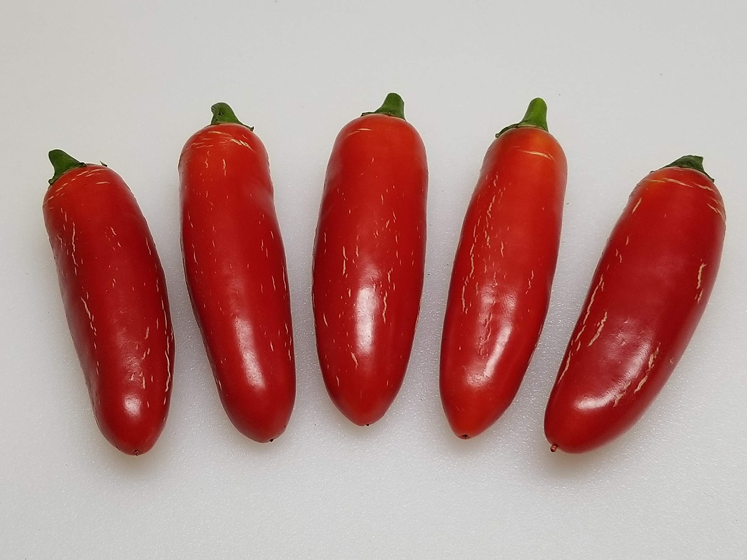 Sweet Jalapeno Pepper Seeds - Pack of 10+ Rare Heirloom Variety for Home Gardening, Cooking & Spicy Recipes | Perfect for Salsas, Pickling & Mexican Cuisine