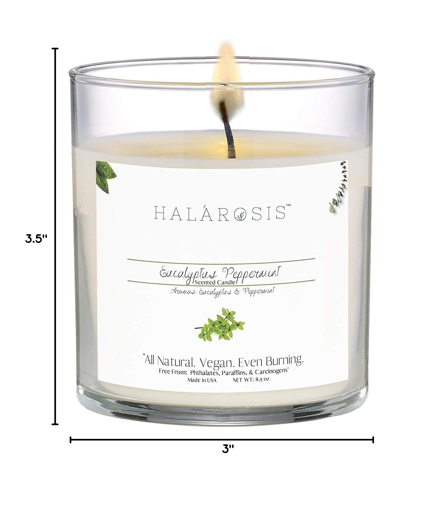 Halarosis Natural Soy Candles - Long-Lasting Peppermint Scented Candle (8.5oz) - 45 Hour Burn Time - Cotton Wick for Clean Burning - Perfect for Home, Office, Meditation & Gift Giving (Birthday, Anniversary, Housewarming)