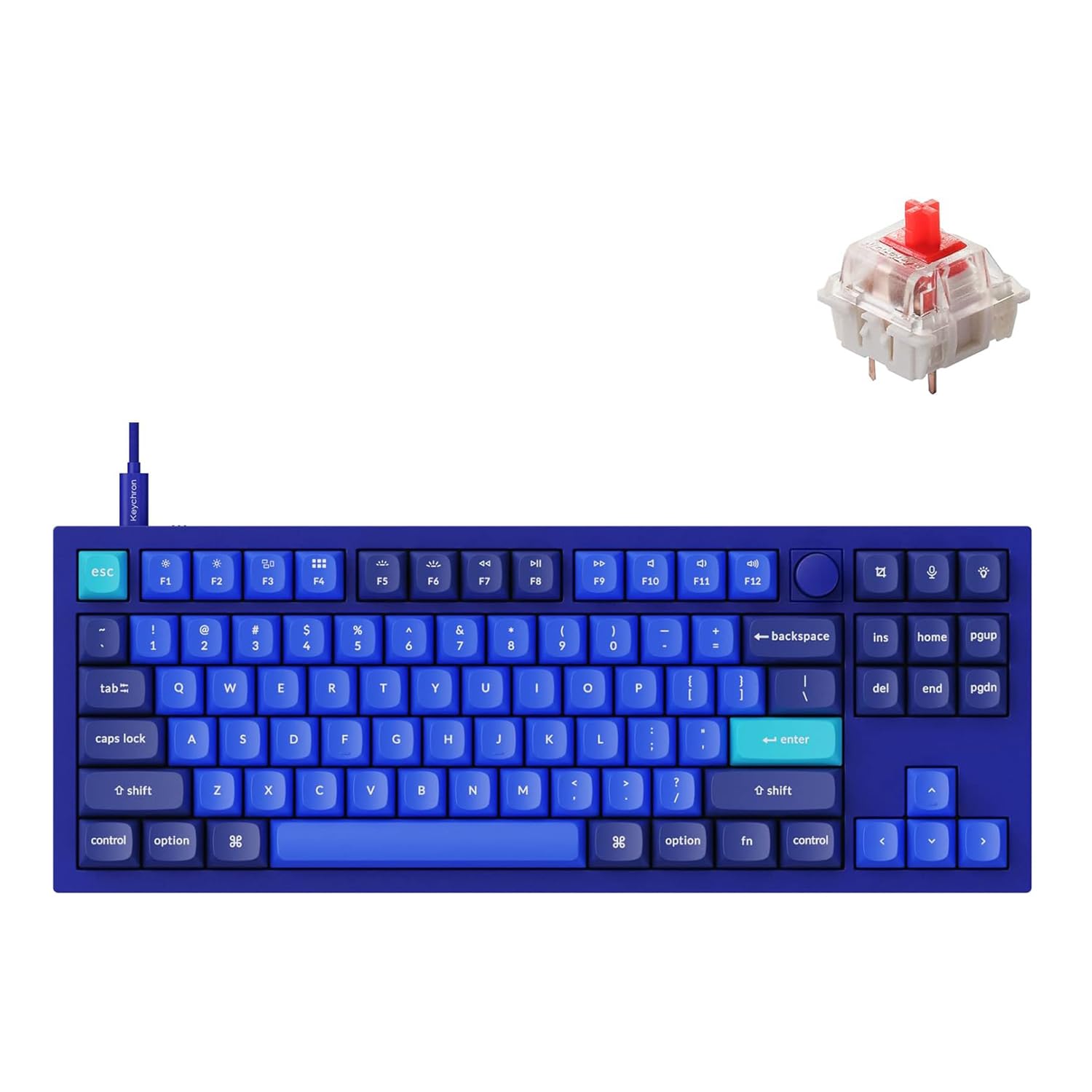 Keychron Q3 Wired Custom Mechanical Keyboard - TKL Tenkeyless Layout with Knob, QMK/VIA Programmable, Hot-Swappable Gateron G Pro Red Switches, Double Gasket Design for Mac/Windows/Linux (Blue) | Perfect for Gaming, Coding & Office Work