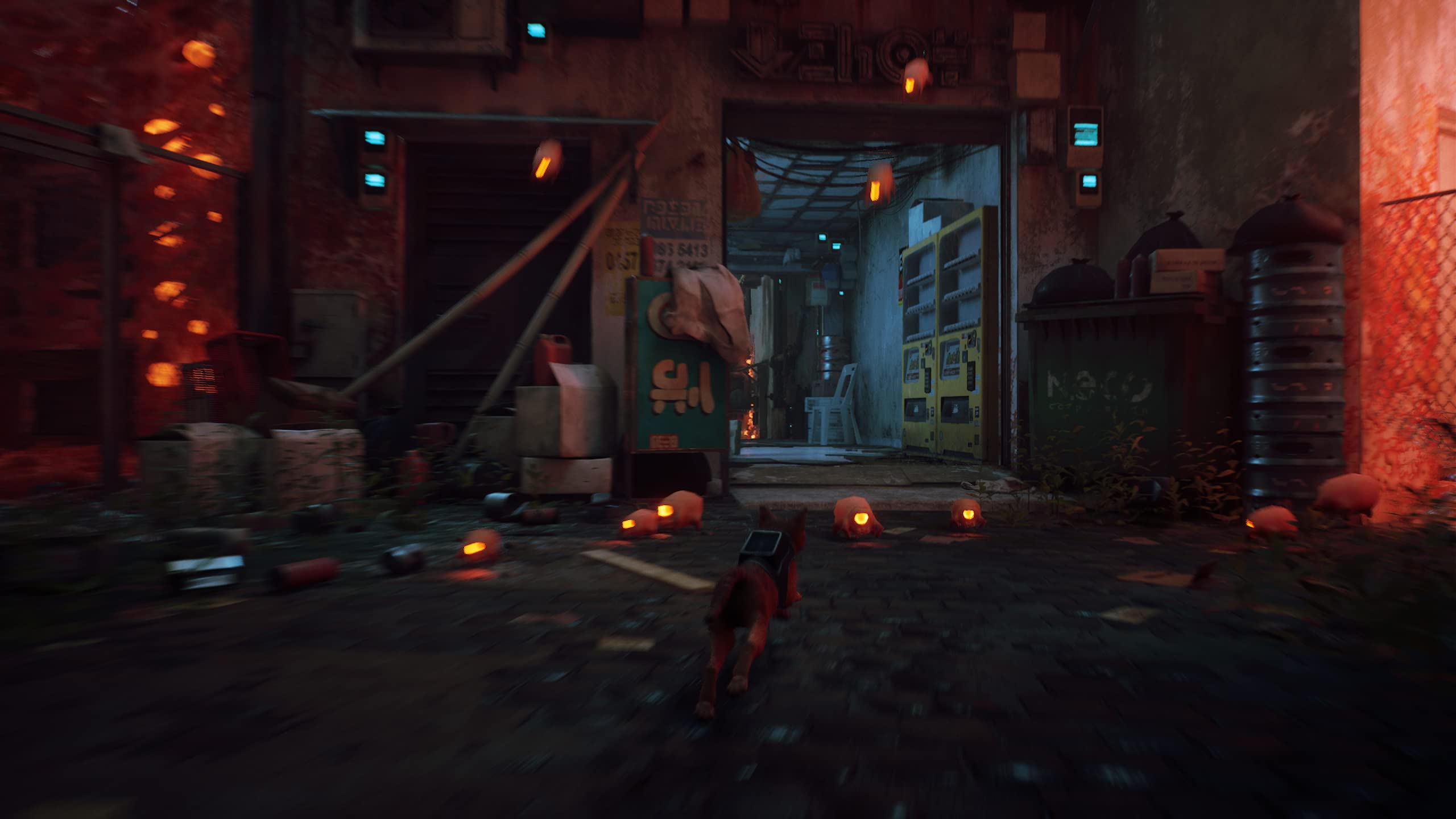 Stray - PlayStation 4 Game | Adventure Cat Simulation for PS4 | Explore Cyberpunk City as a Lost Feline | Perfect for Cat Lovers & Adventure Gamers