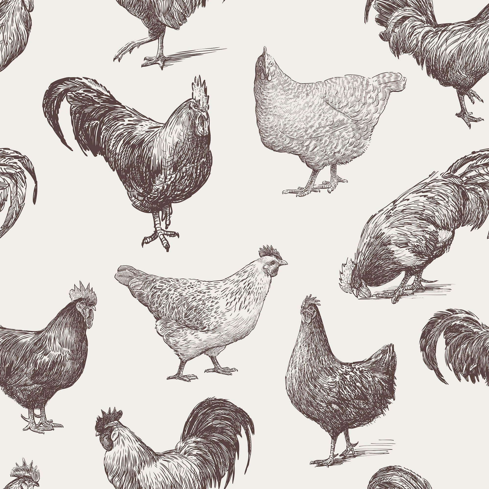 Beige Bird Animal Peel and Stick Removable Wallpaper 2801 - Self-Adhesive Decorative Wall Covering for Nursery, Bedroom & Home Decor