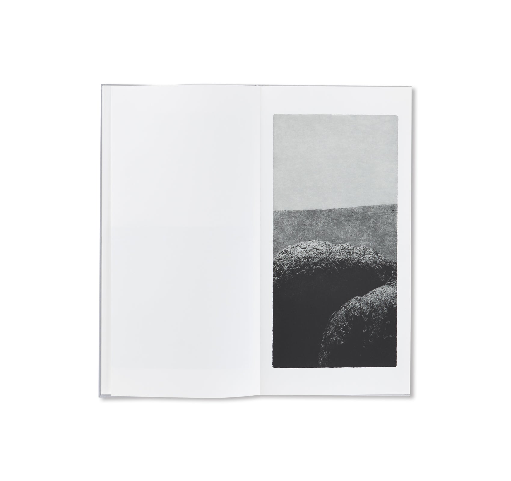 OPENING by Jungjin Lee - Stunning Art Book for Home Decor, Office Display & Gift Ideas | Explore Contemporary Photography & Unique Aesthetic