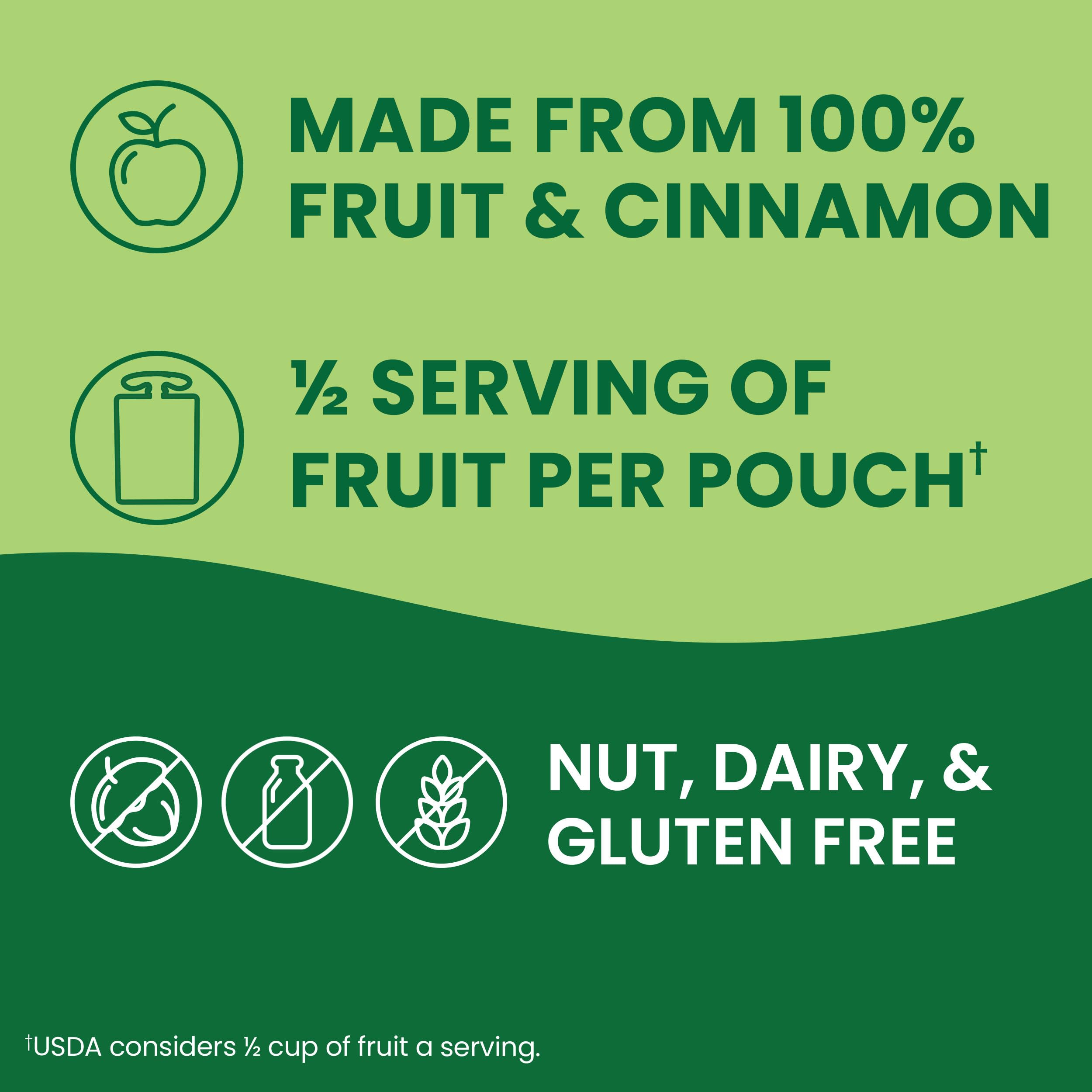 GoGo squeeZ Applesauce and Fruit Puree Pouches - Apple Cinnamon Flavor, 3.2 oz (Pack of 12) | Unsweetened, Gluten Free, Nut Free, Dairy Free Kids Snacks | BPA Free with Recloseable Cap | Perfect for School Lunches, Road Trips and Healthy On-the-Go Snacking