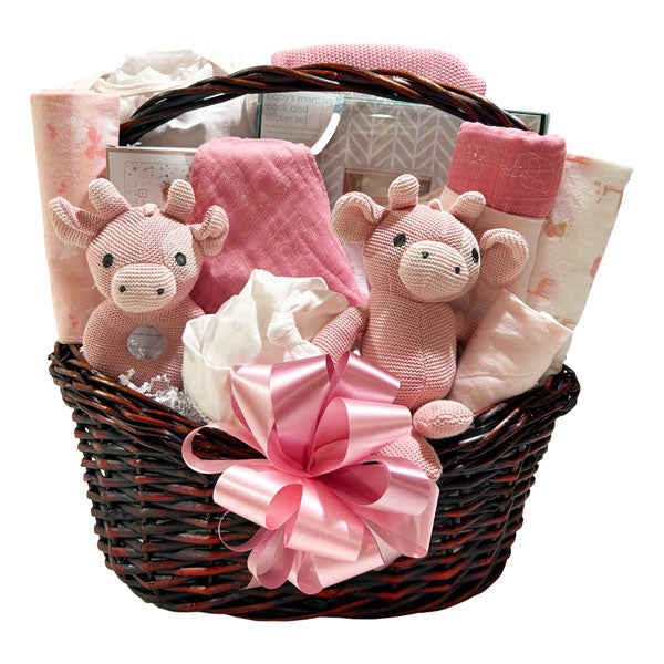 Adorable Baby Girl Gift Bundle - Perfect for Newborns, Birthdays & Showers - SKU: CBC1043