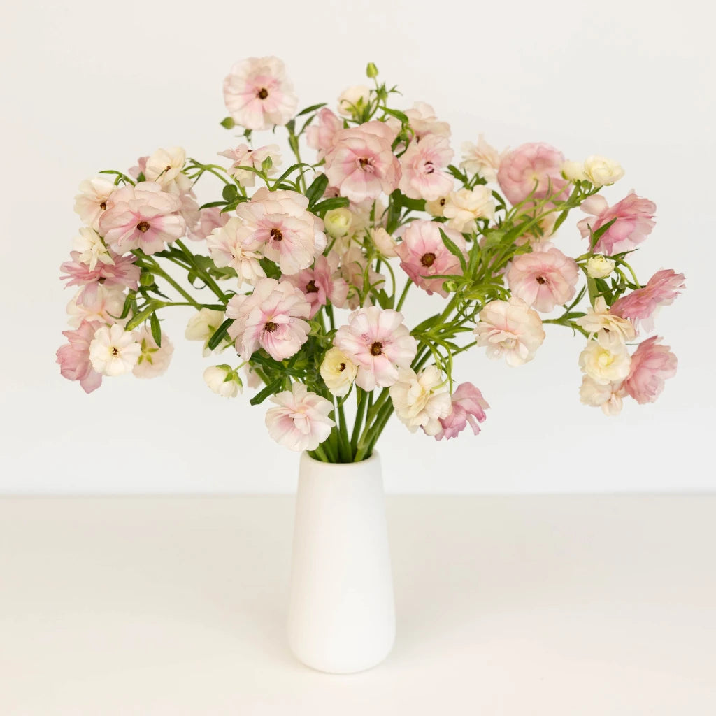 Blushing Bride Butterfly Ranunculus Flowers - Elegant Wedding Bouquet, Bridal Centerpiece & Home Decor for Romantic Occasions
