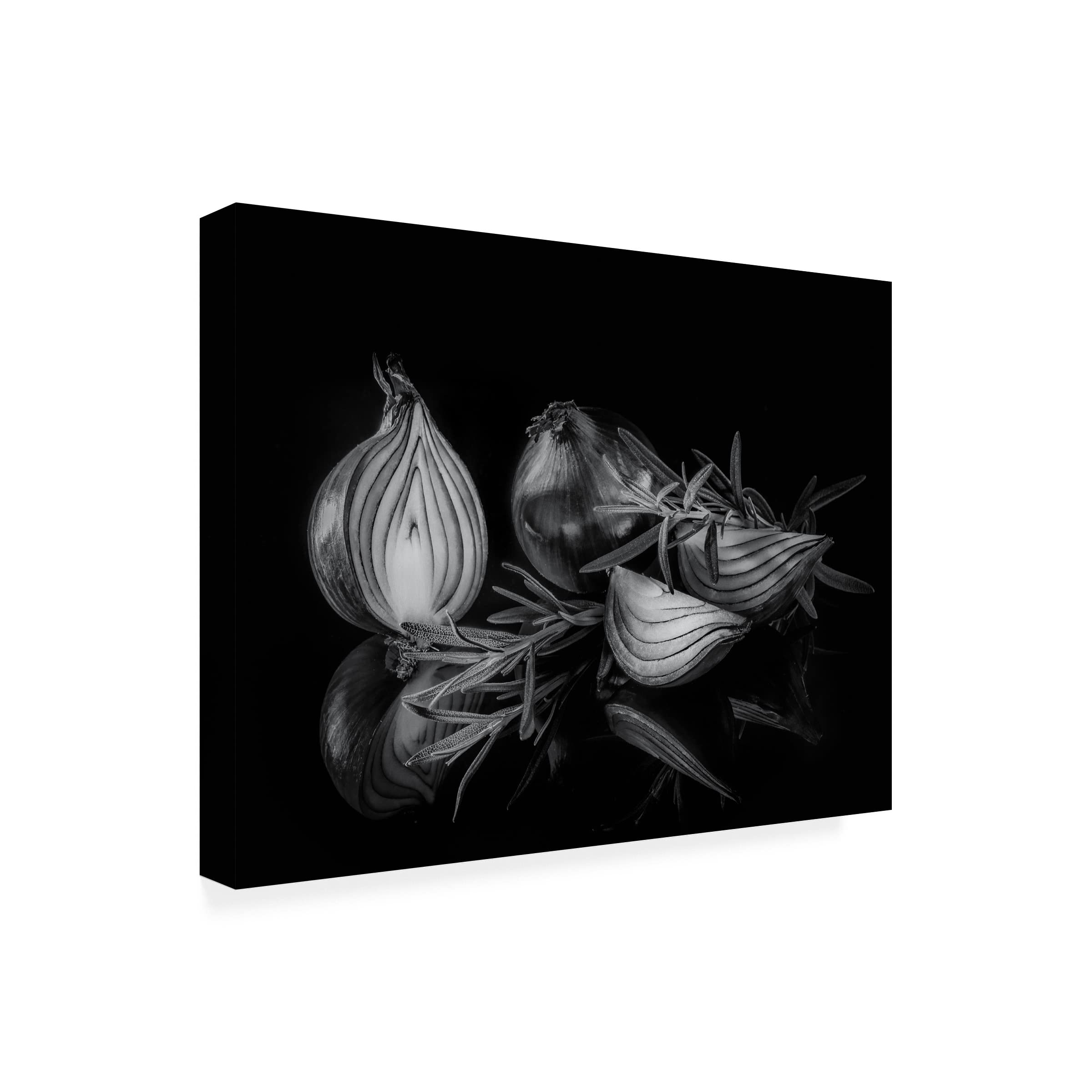 Trademark Fine Art 'Onion' Canvas Wall Art Print by Britt Vienonen - Modern Kitchen Decor for Home & Restaurant