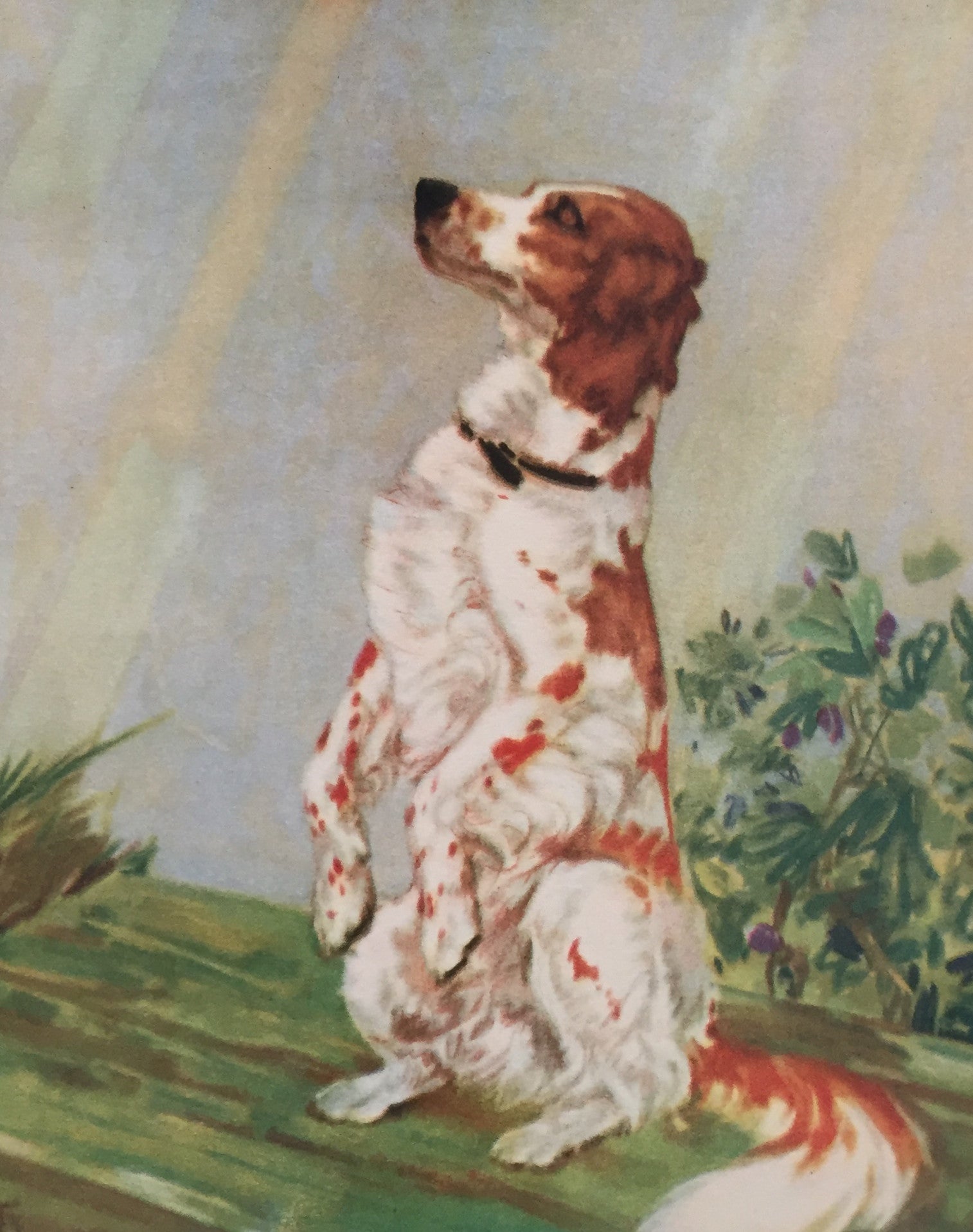 Vintage 1930s American Dog Portrait - English Setter Painting, Classic Home Decor for Living Room & Office Wall Art