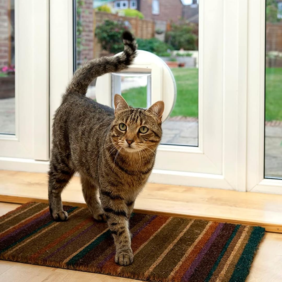 SureFlap Microchip Cat Flap - Smart Entry for Cats with Microchip ID, White, 4.75