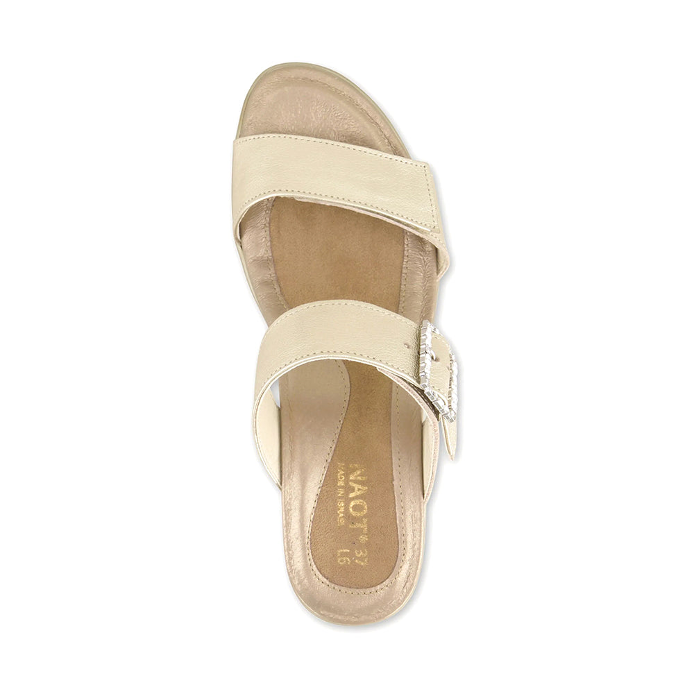 Trendy Kitten Heel Sandals for Women - Comfortable Low Block Heel Summer Shoes - Perfect for Office, Date Night & Casual Outings