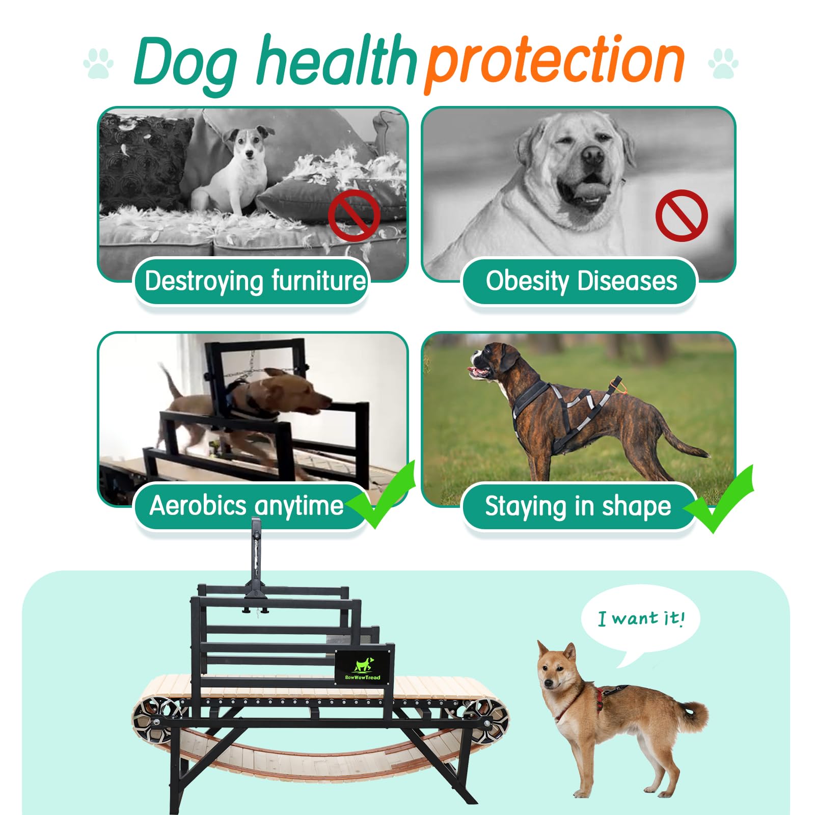 Best Dog Treadmill for Medium & Large Dogs - Indoor Pet Exercise Equipment for Home Use | Perfect for Daily Workouts & Weight Management