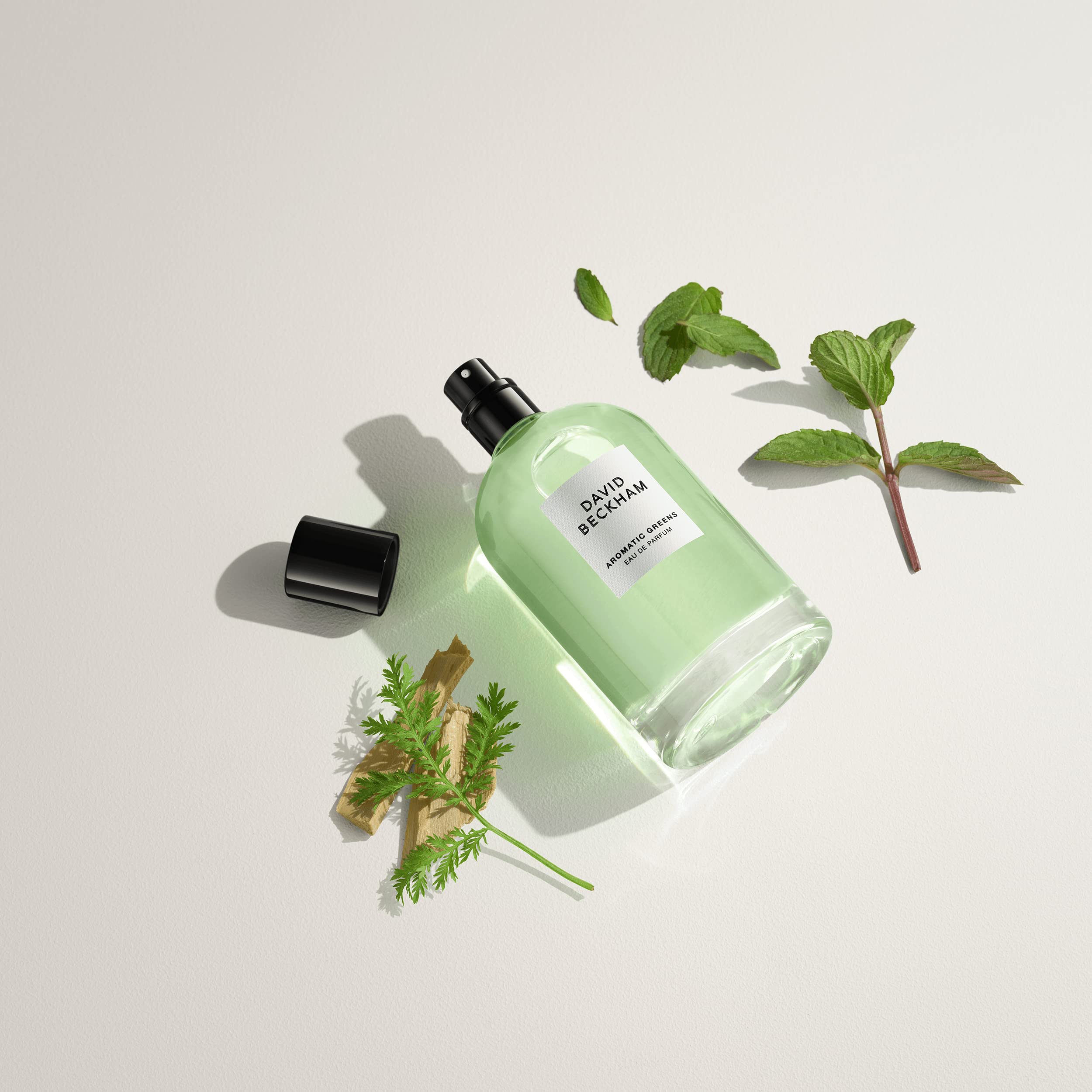David Beckham Aromatic Greens Eau de Parfum for Men - 3.4 oz Fresh Woody Fragrance | Long-Lasting Cologne for Day & Night Wear, Work & Special Occasions
