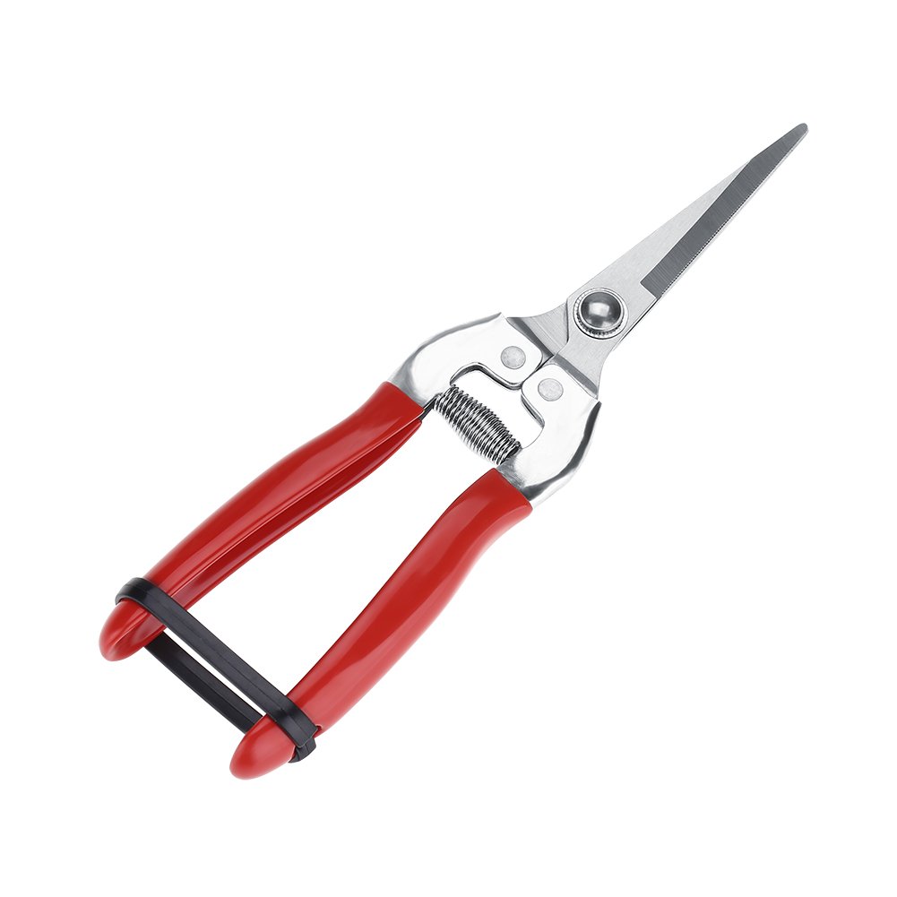 Sturdy Stainless Steel Pruning Shears for Gardening, Fruit Trees & Bonsai