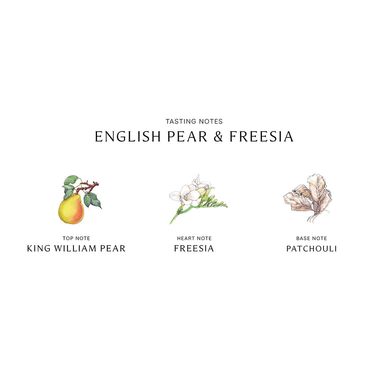 English Pear & Freesia Body Mist for Women - Refreshing Floral Perfume Spray | Lightweight Daily Fragrance for Work, Date Night & Special Occasions