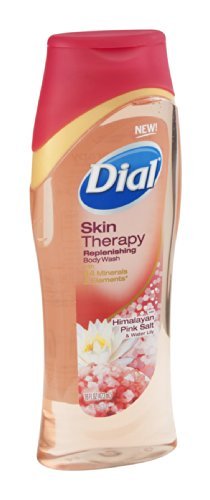 Dial Enriching Body Wash with Himalayan Salt - 16 oz (Pack of 6) | Moisturizing & Exfoliating Shower Gel for Dry Skin - Perfect for Daily Use & Spa-Like Experience at Home
