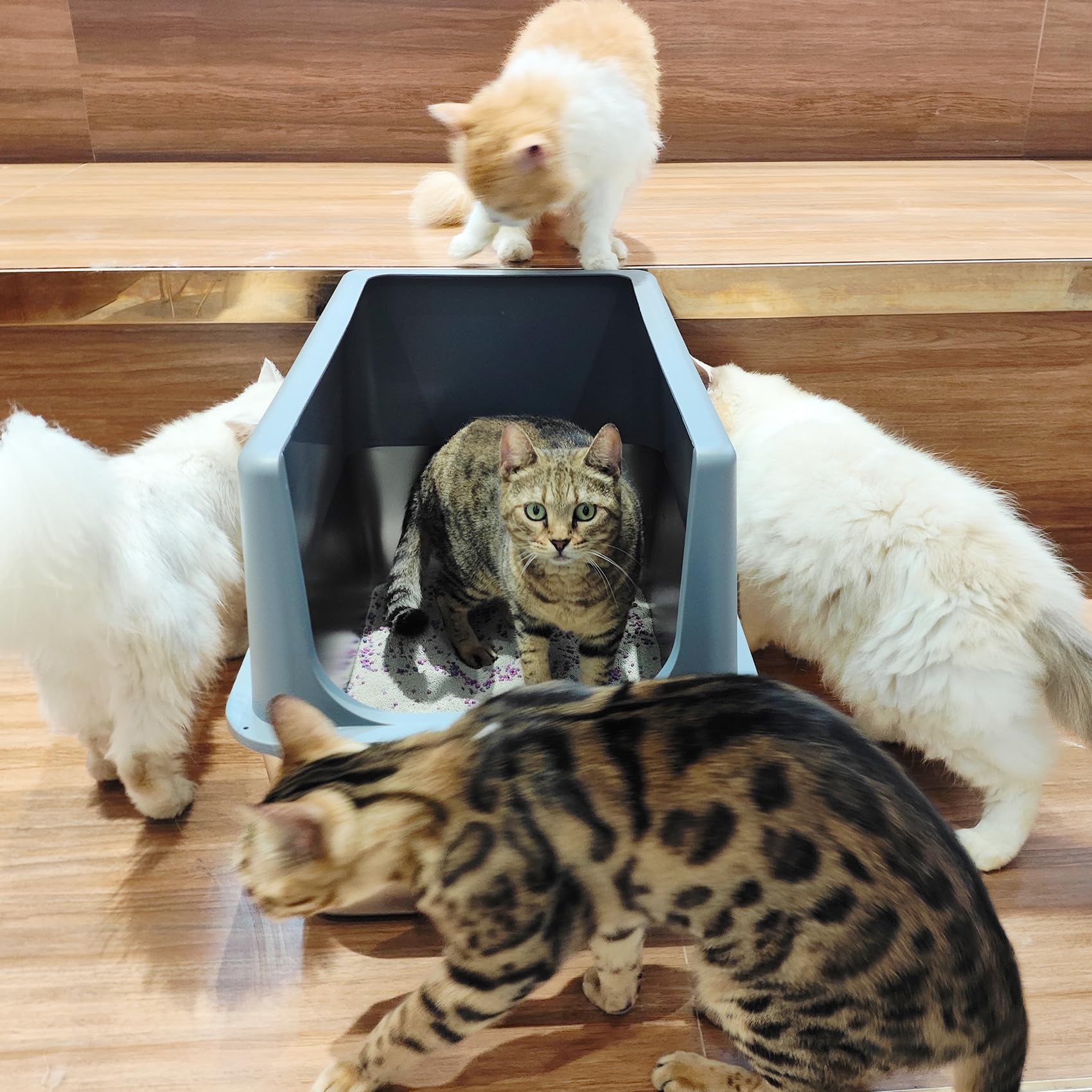 LIHOOOOM Enclosed Cat Litter Box with Lid - High Sided Stainless Steel, Anti-Leakage, Non-Stick, Extra Large (23.5