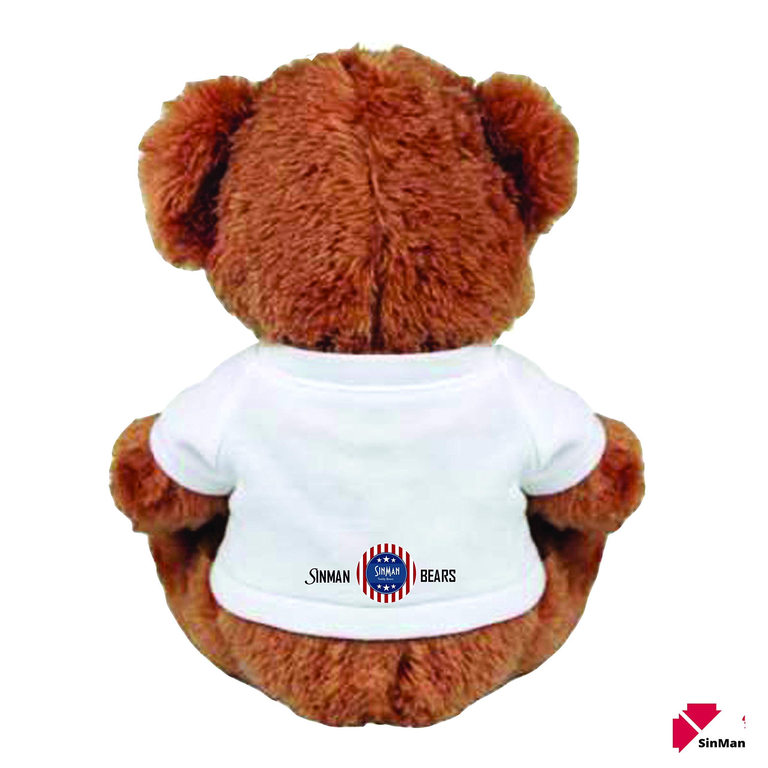 Funny 'Sorry and Forgive Me' Teddy Bear Couple Gift - Medium Plush Stuffed Animal for Apology, Anniversary & Romantic Occasions