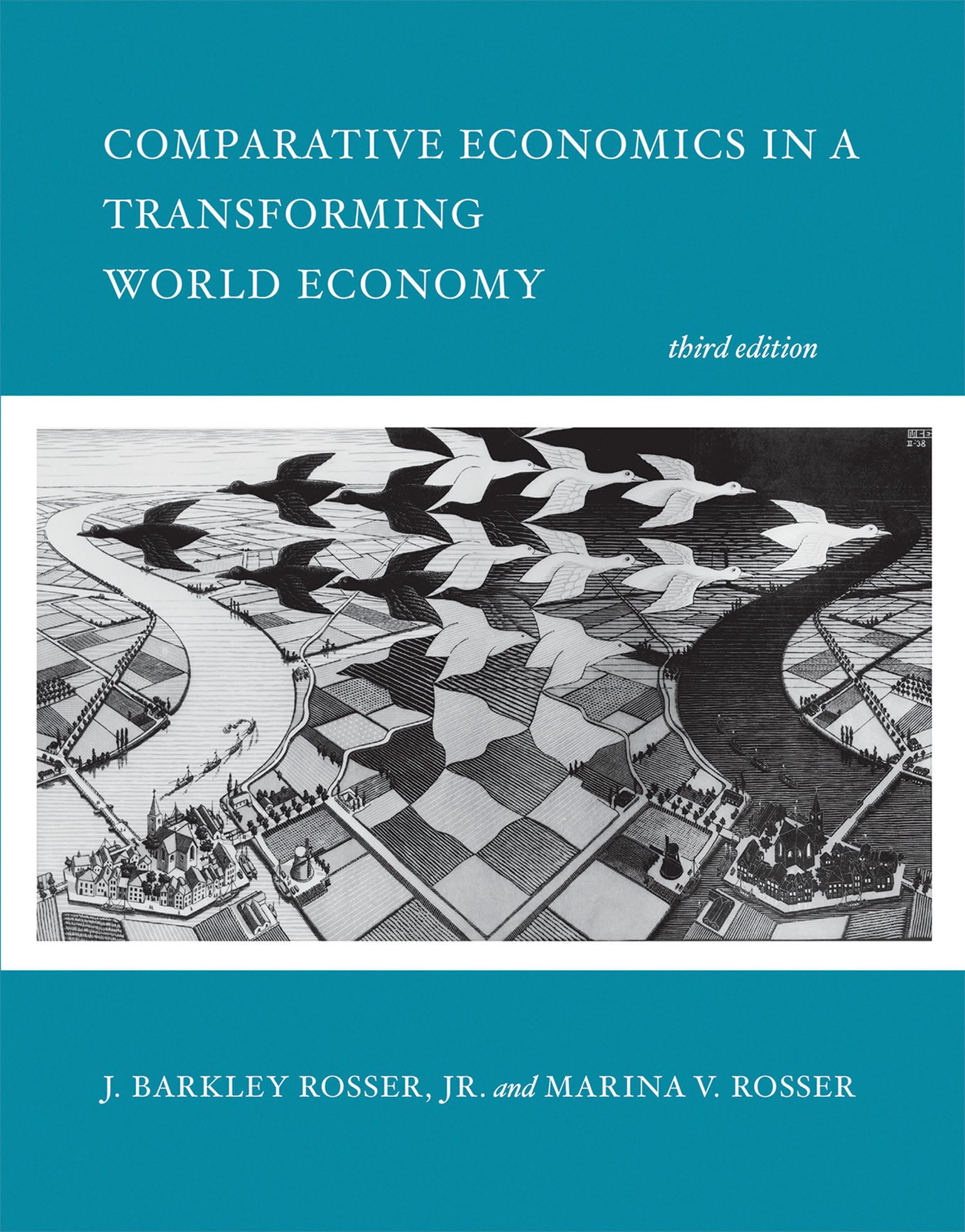 Comparative Economics in a Transforming World Economy, 3rd Edition | MIT Press Textbook | Perfect for Economics Students & Global Market Researchers