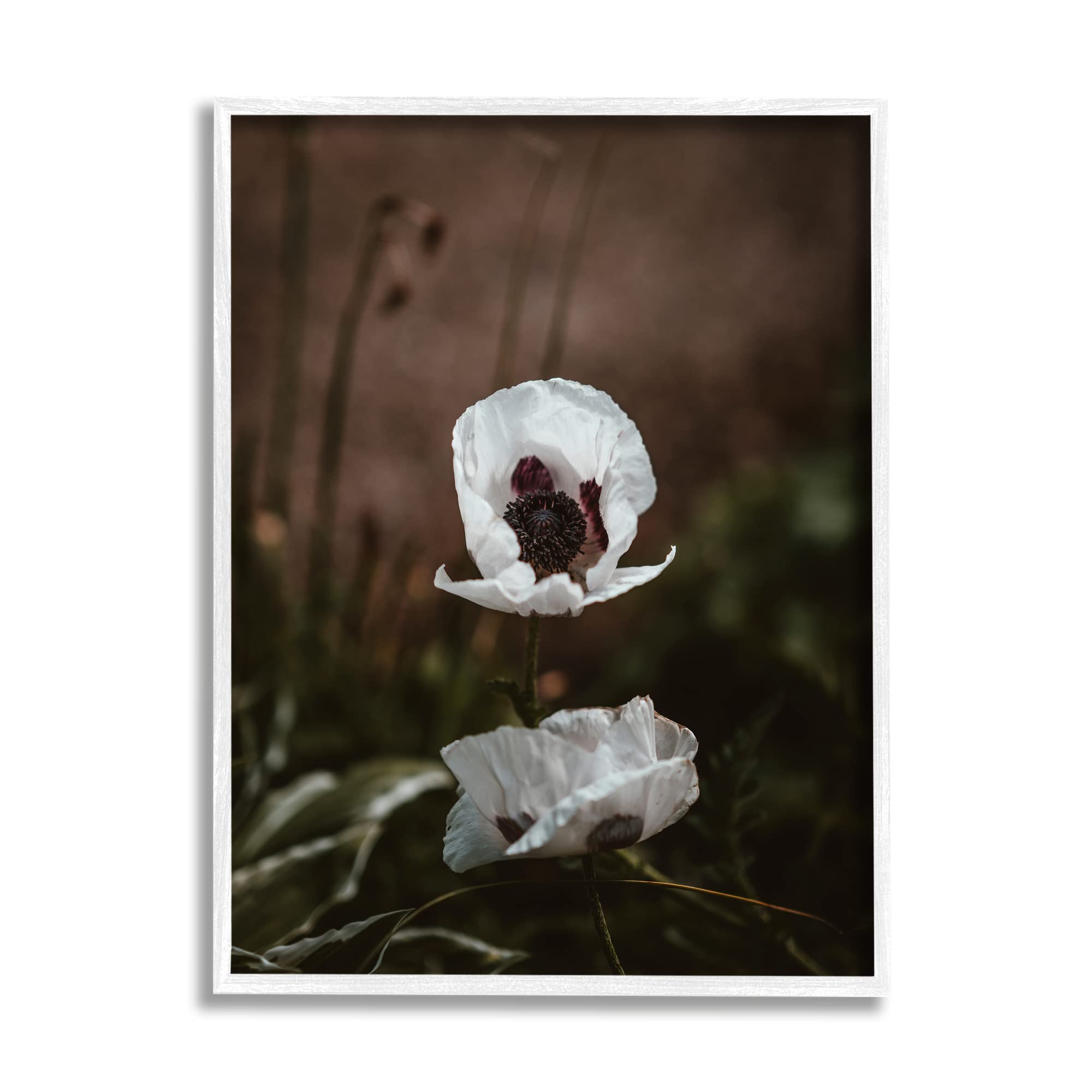 Stupell Industries Lonely White Flower Blossom Forest Photography Wall Art - Nature-Inspired Canvas Print by Incado - Perfect for Living Room, Bedroom & Office Decor