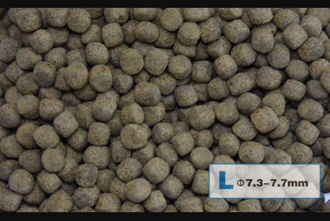 AquaMaster Koi Fish Food with Natto Probiotics for Growth - 1kg/5kg - Enhances Color & Health for Pond Fish - Perfect for Koi, Goldfish & Carp Nutrition