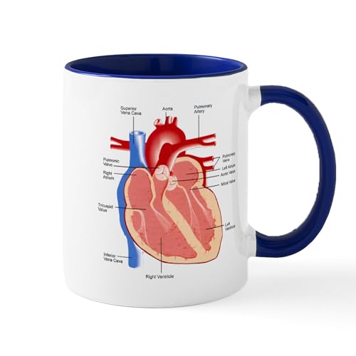White/Navy Inside - Human Heart Anatomy Mug